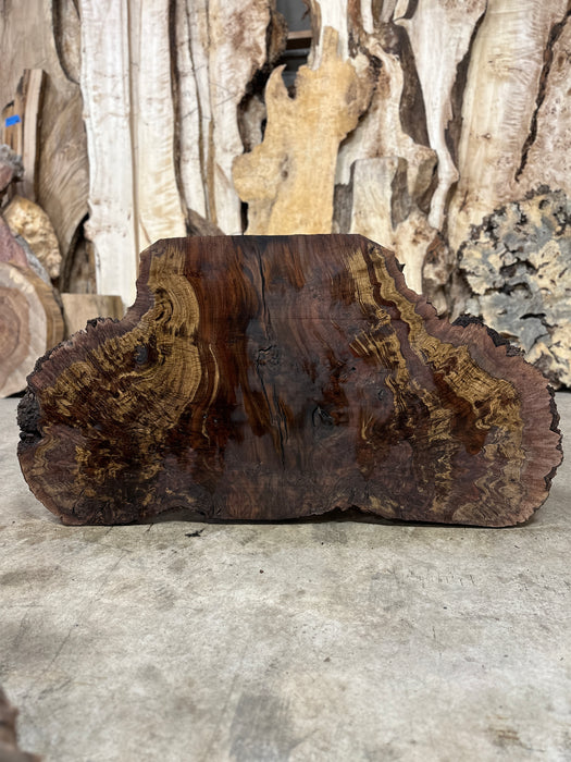 LiveEdge Black Walnut Burl