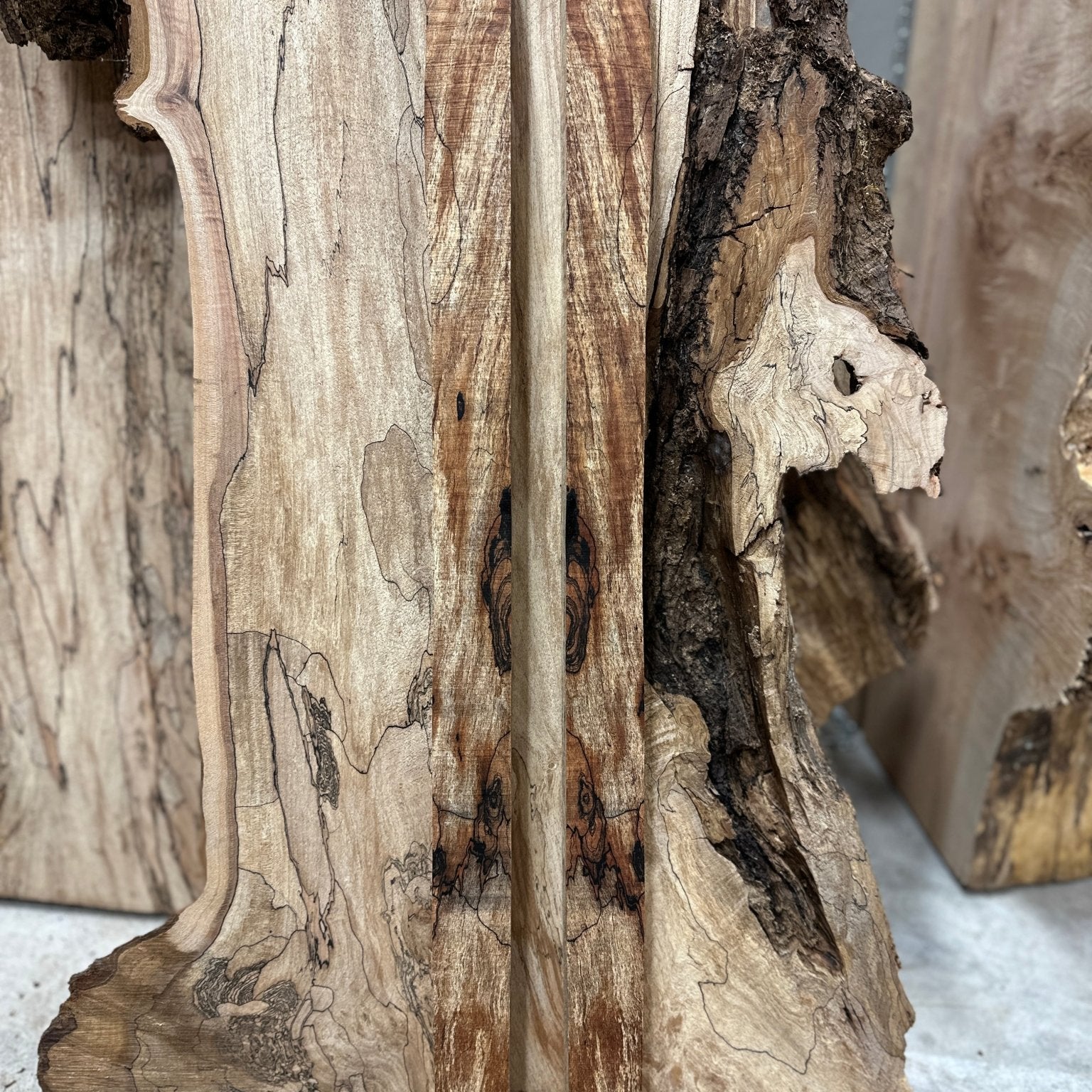 Big Leaf Maple Blank | Big Leaf Maple | Double Diamond