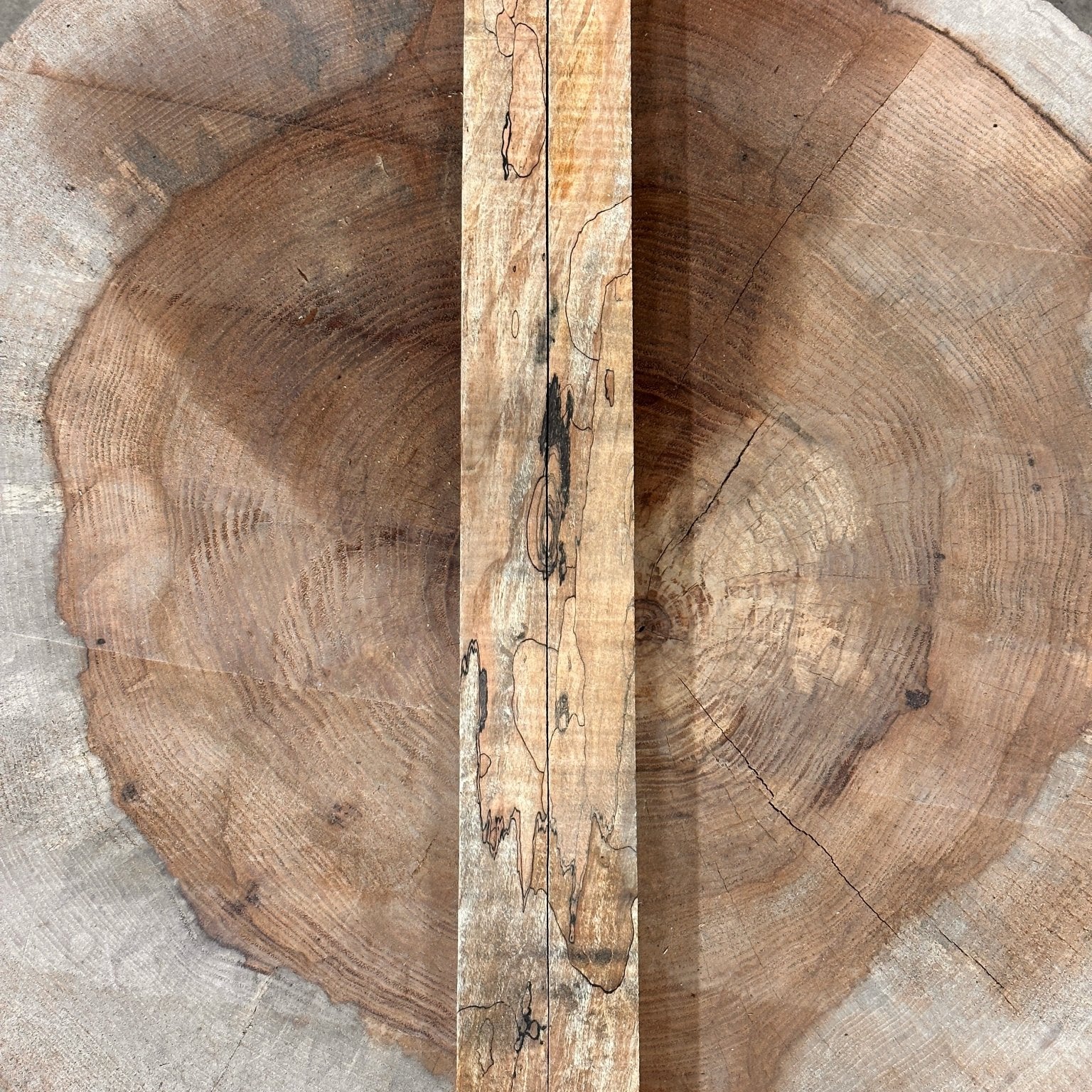 Big Leaf Maple Blank | Big Leaf Maple | Double Diamond