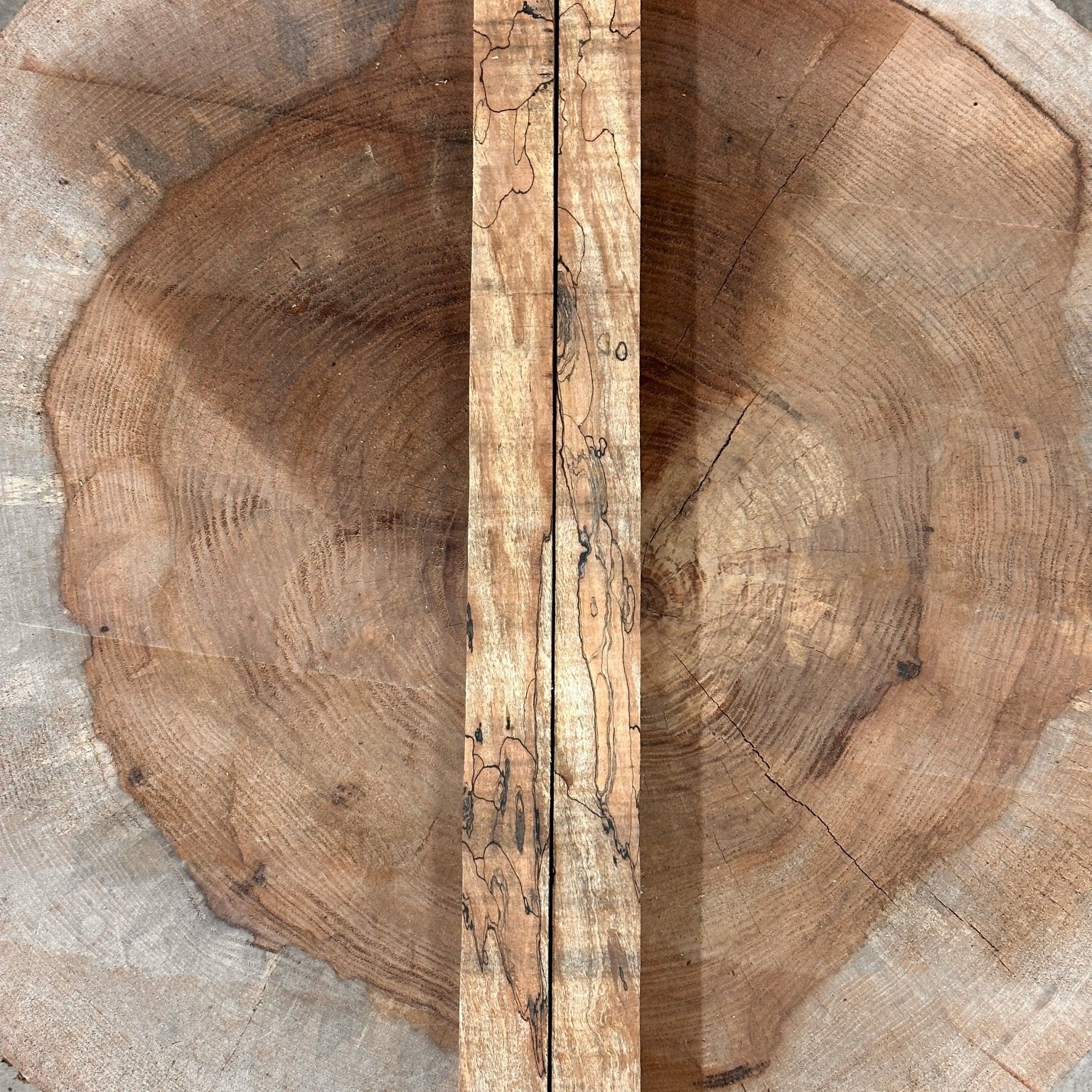Big Leaf Maple Blank | Big Leaf Maple | Double Diamond