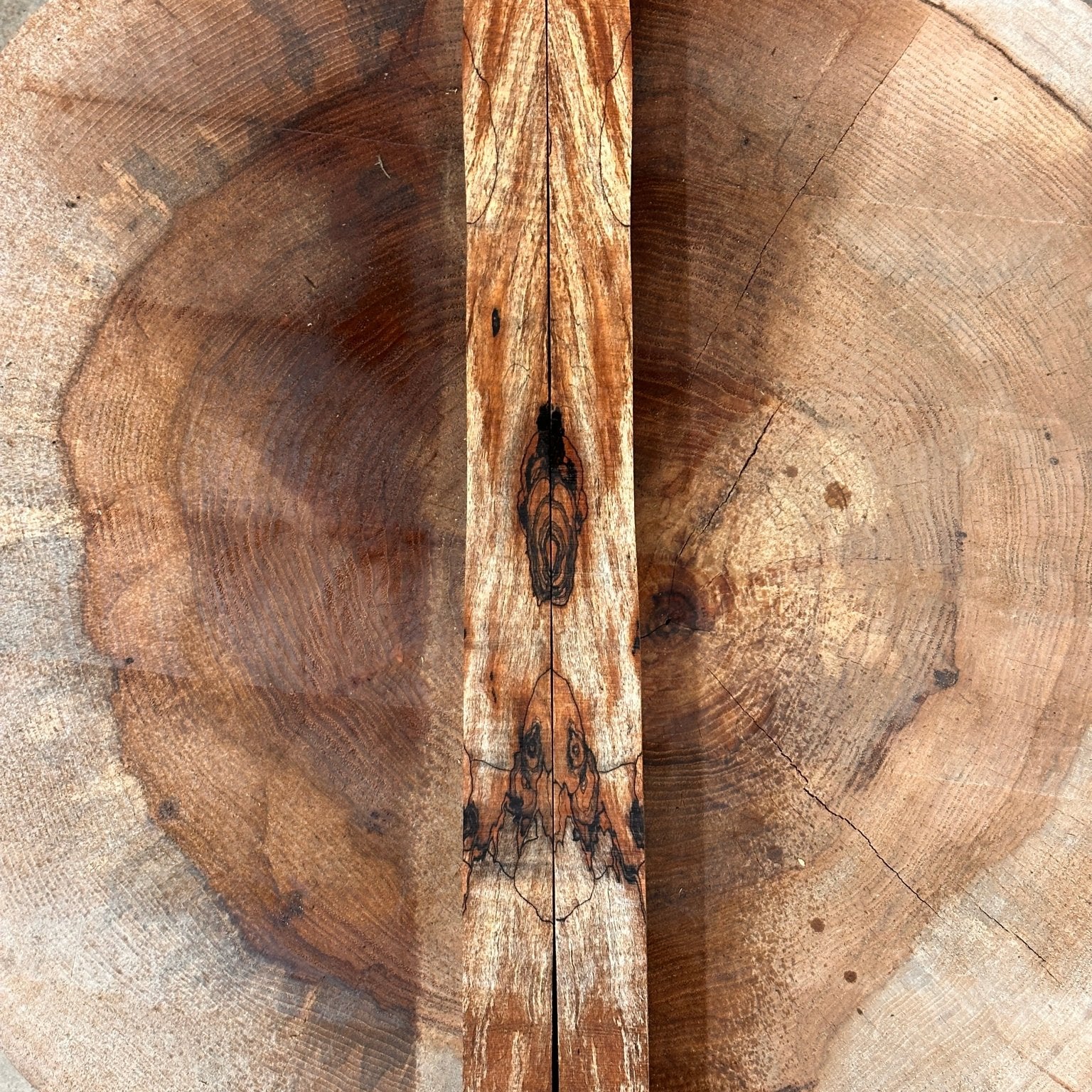 Big Leaf Maple Blank | Big Leaf Maple | Double Diamond