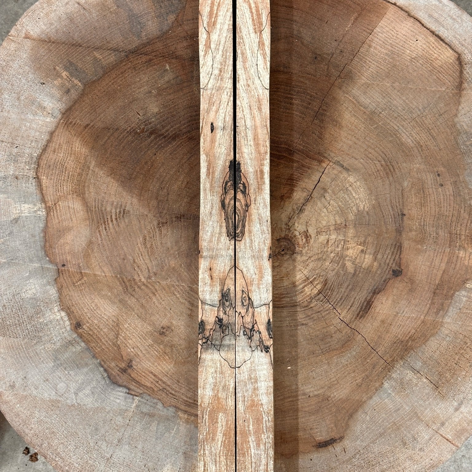 Big Leaf Maple Blank | Big Leaf Maple | Double Diamond