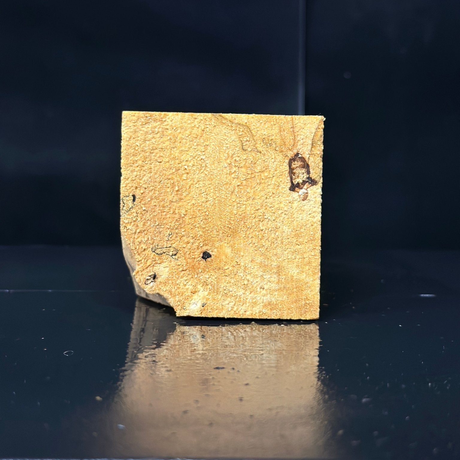 Big Leaf Maple Blank | Big Leaf Maple | Double Diamond | BGDDBLMTS.862