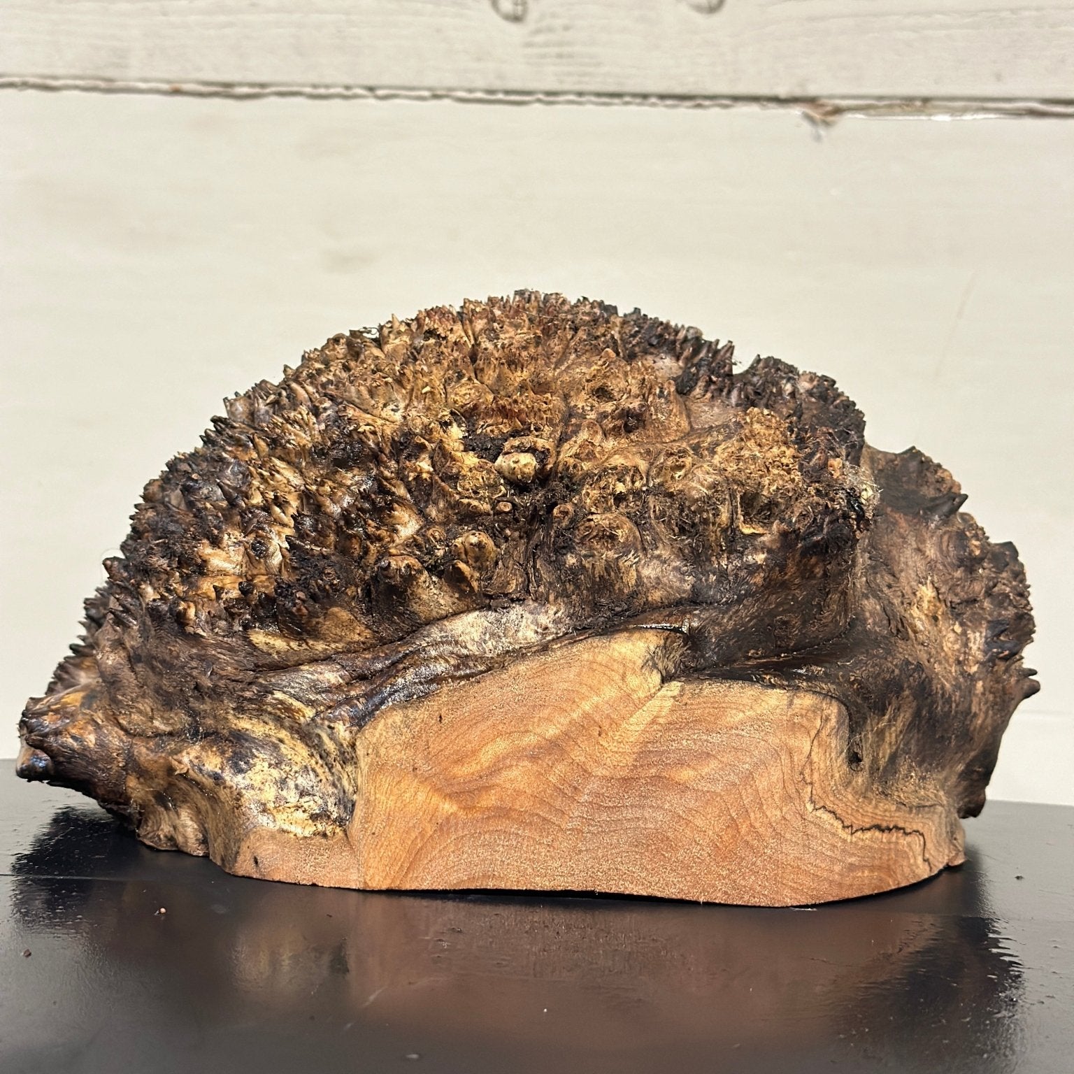 Big Leaf Maple Blank | Big Leaf Maple | Double Diamond | BGDDBLMTS.947