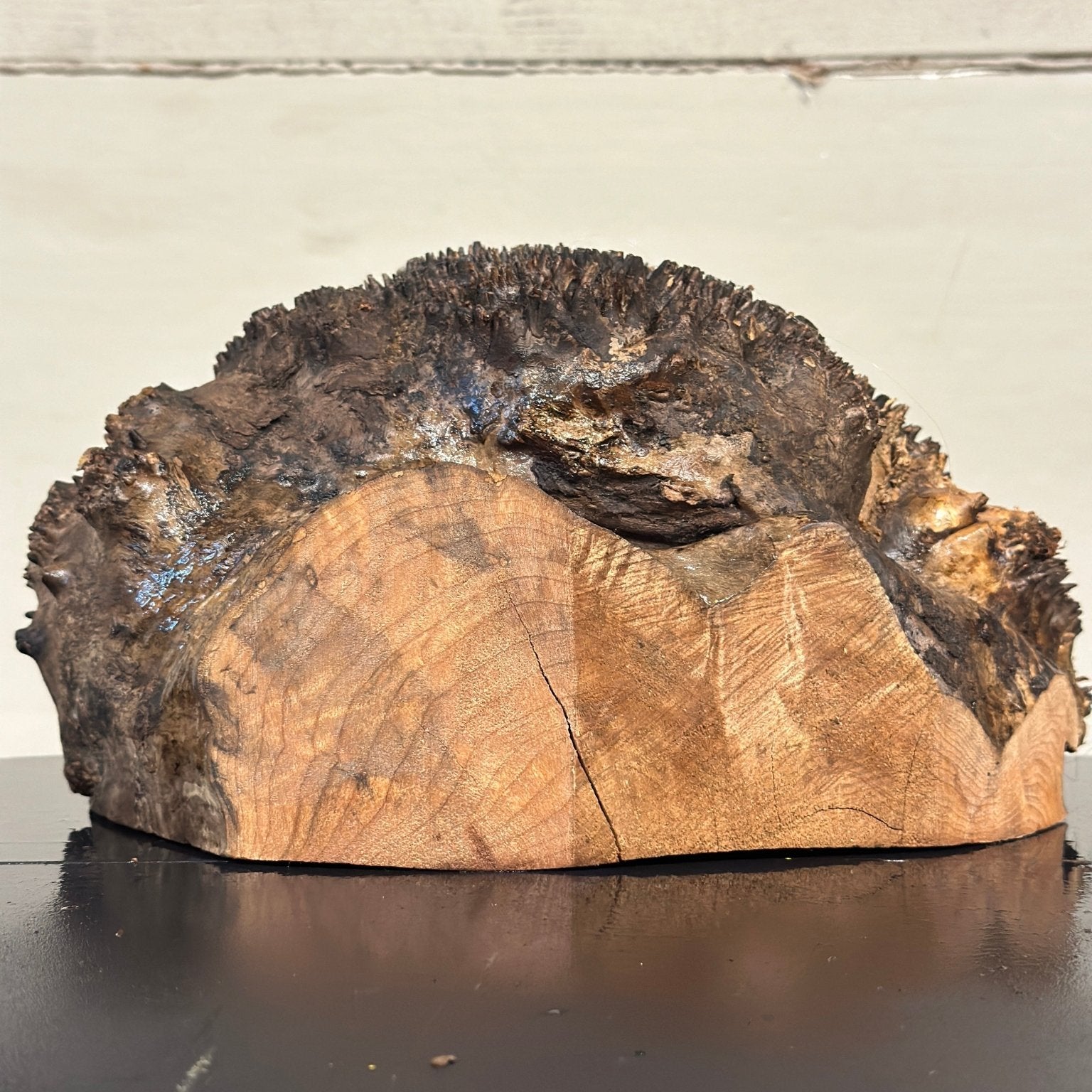 Big Leaf Maple Blank | Big Leaf Maple | Double Diamond | BGDDBLMTS.947