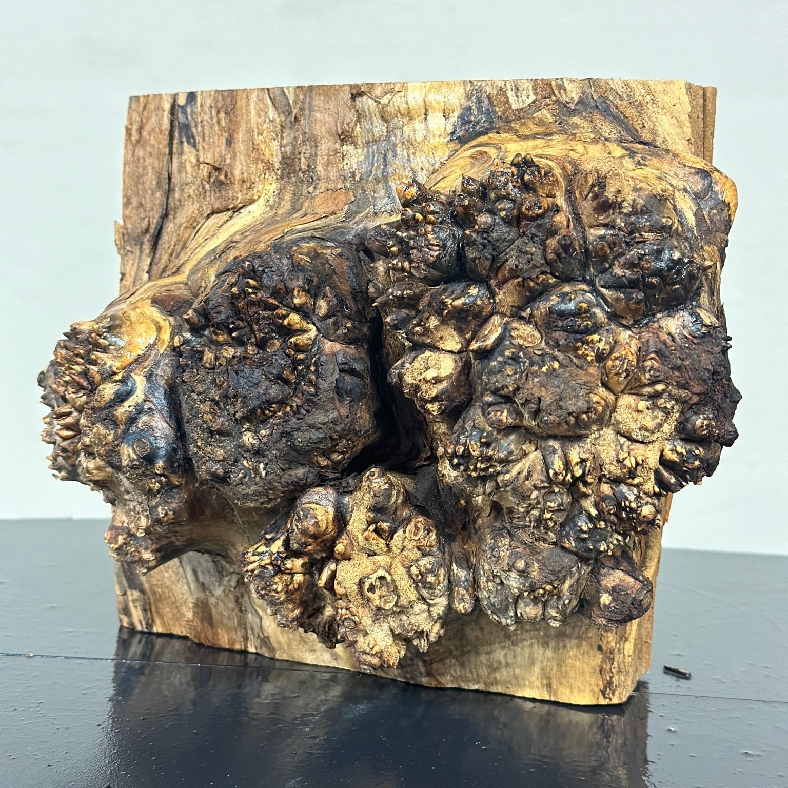 Big Leaf Maple Blank | Big Leaf Maple | Double Diamond | BGDDBLMTS.948