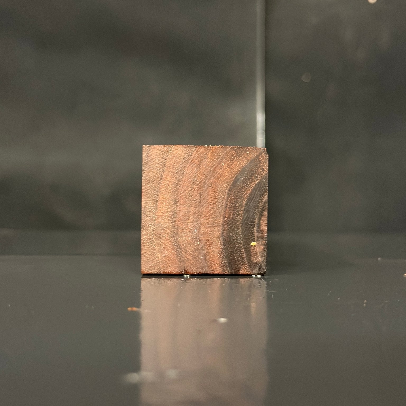 Black Walnut Blank | Black Walnut | Hamilton Lee Supply | BGHLSBWTS.883