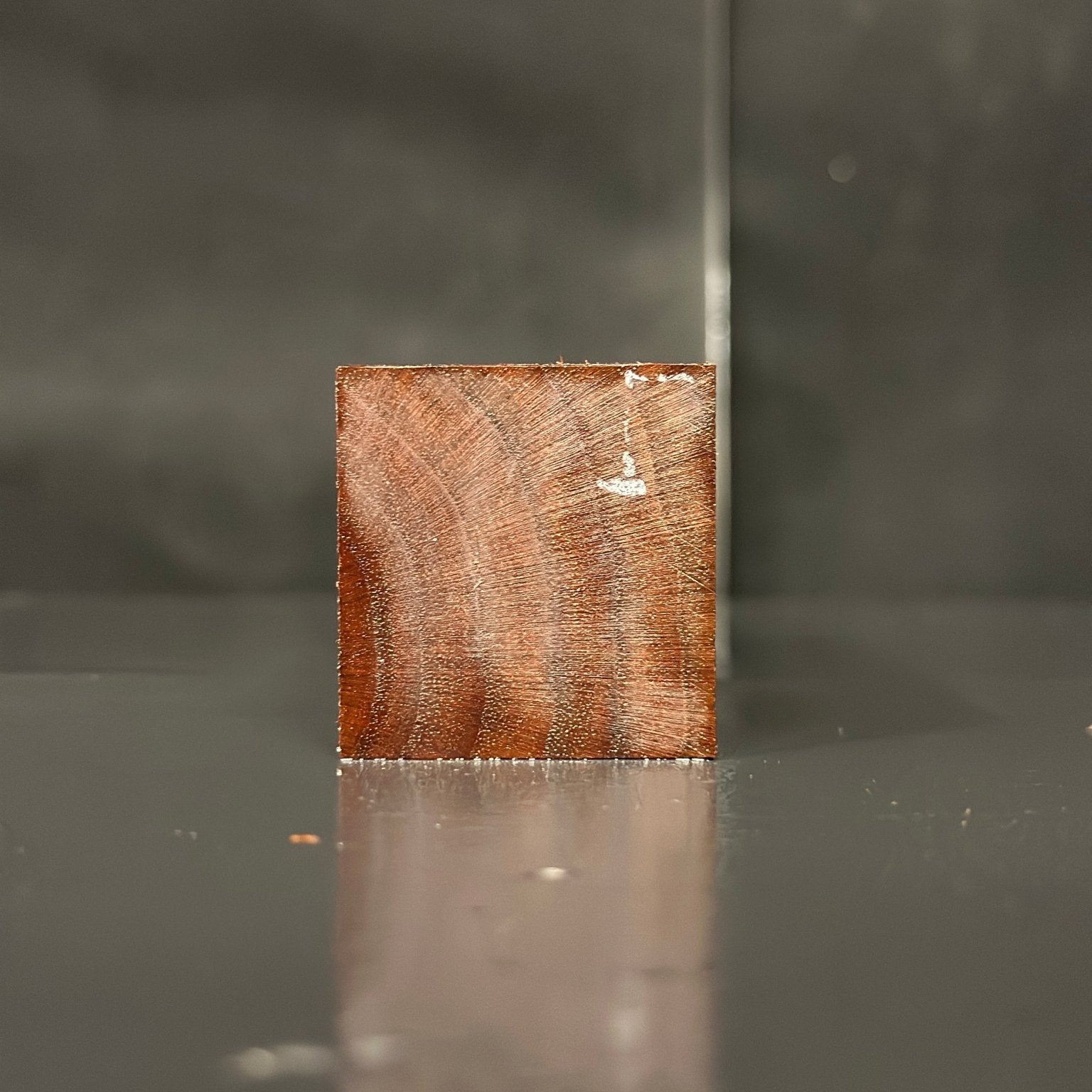 Black Walnut Blank | Black Walnut | Hamilton Lee Supply | BGHLSBWTS.883