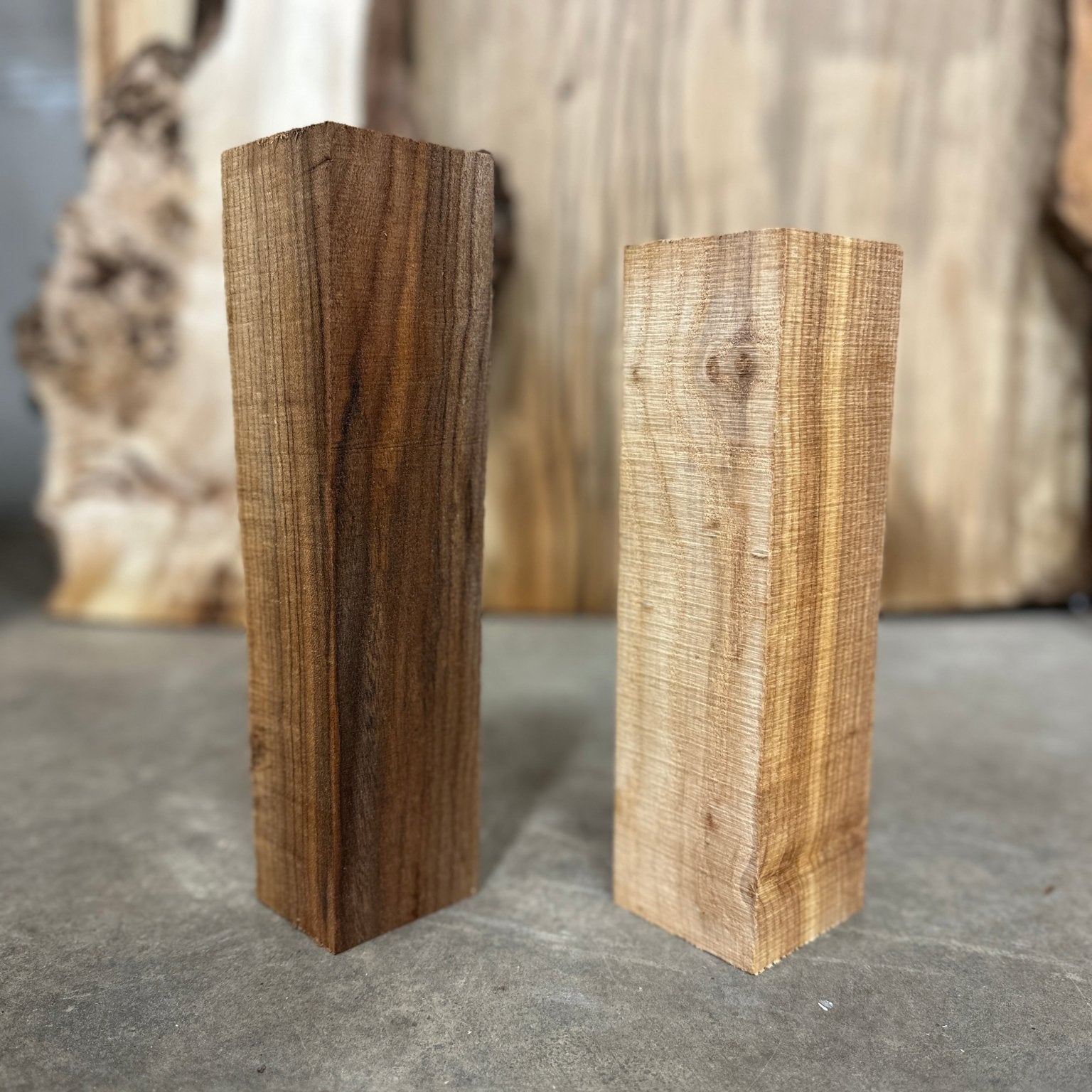 Elm and Ash Blanks 2 Pack Bundle | Turning Blank | DGB Woodworks