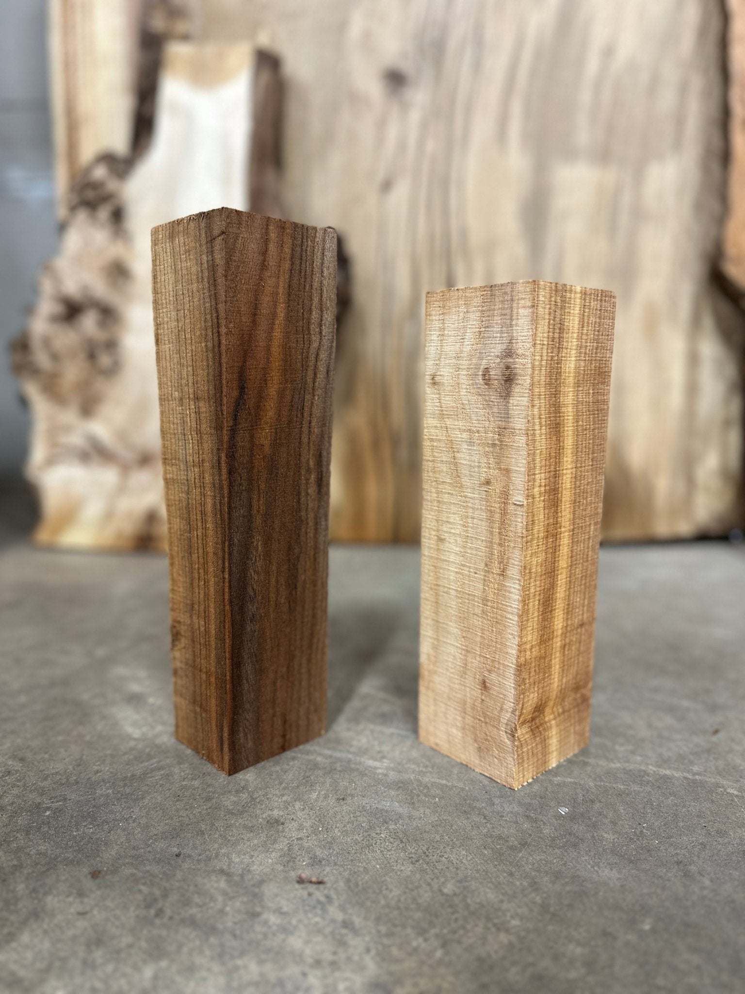 Elm and Ash Blanks 2 Pack Bundle | Turning Blank | DGB Woodworks