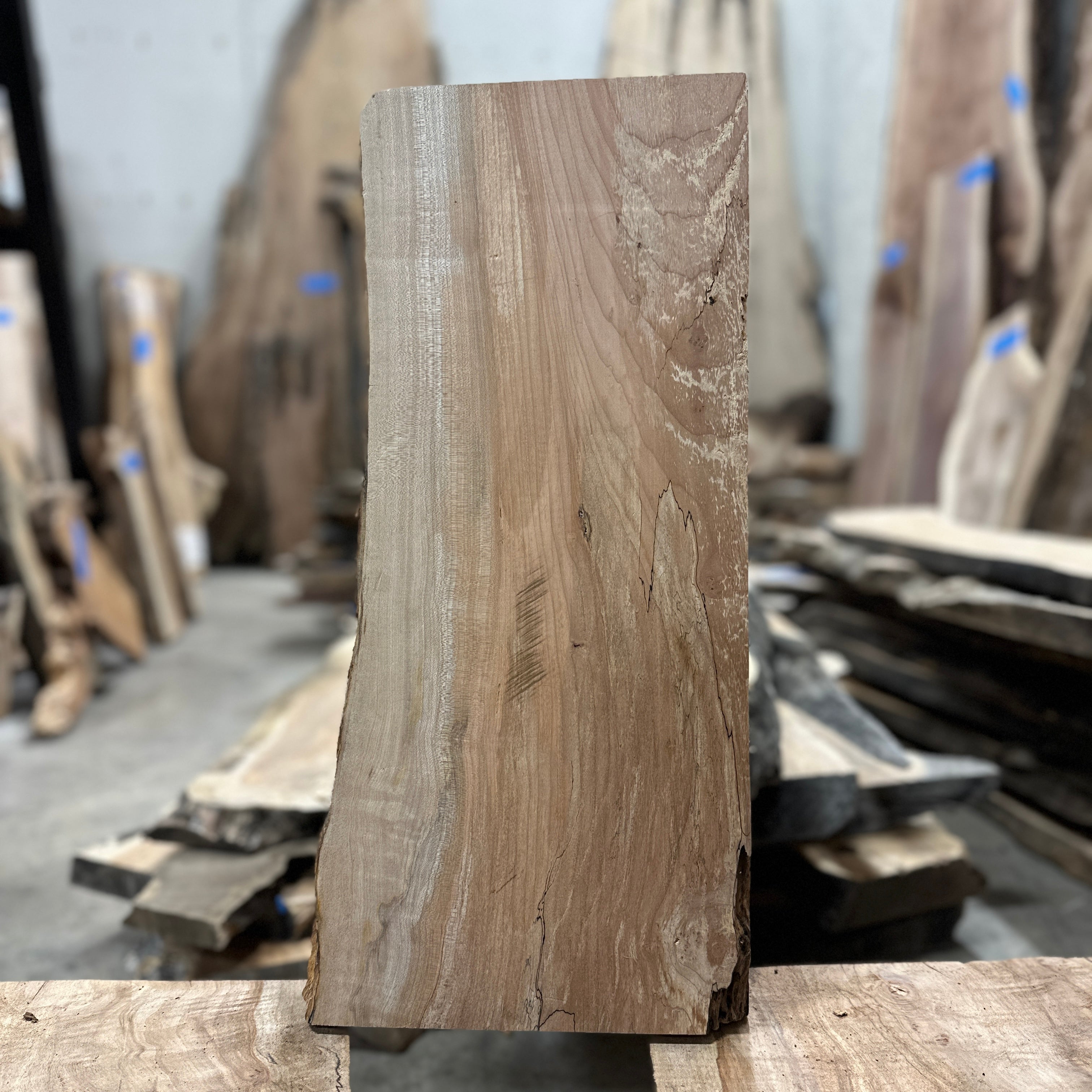 LiveEdge Big Leaf Maple | Big Leaf Maple | Hamilton Lee Supply