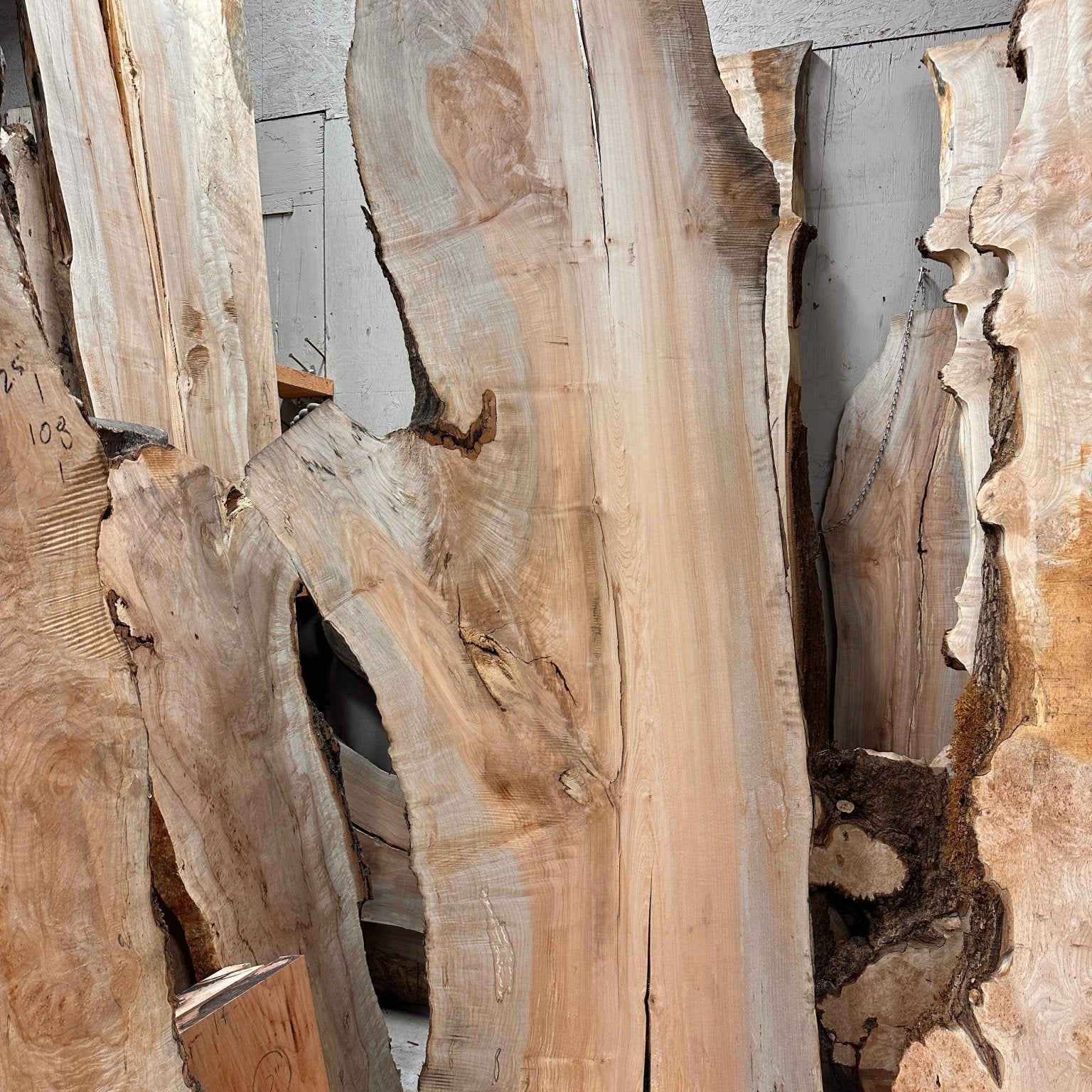 LiveEdge Big Leaf Maple | Big Leaf Maple | Double Diamond