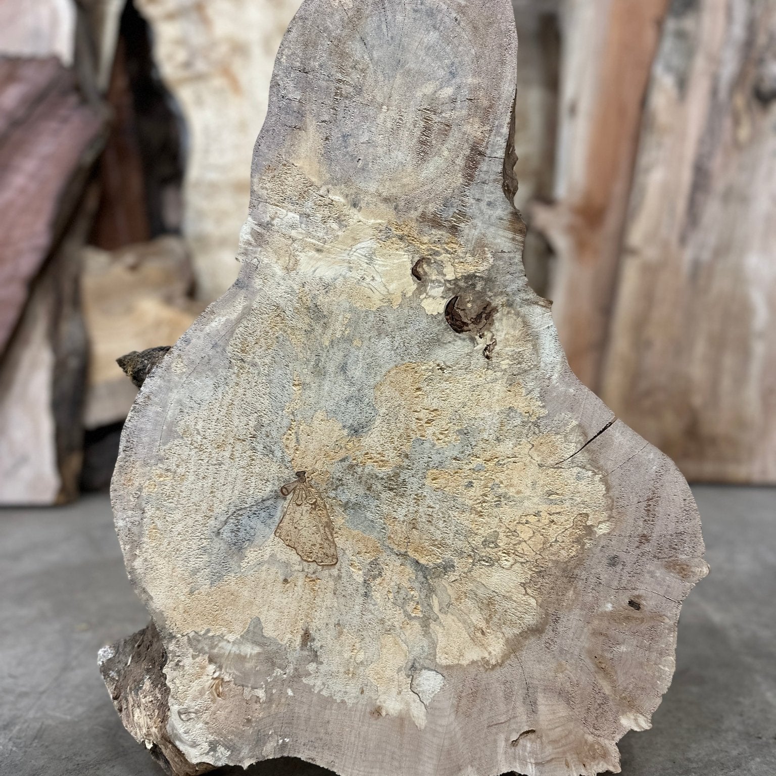 LiveEdge Big Leaf Maple | Big Leaf Maple | Double Diamond