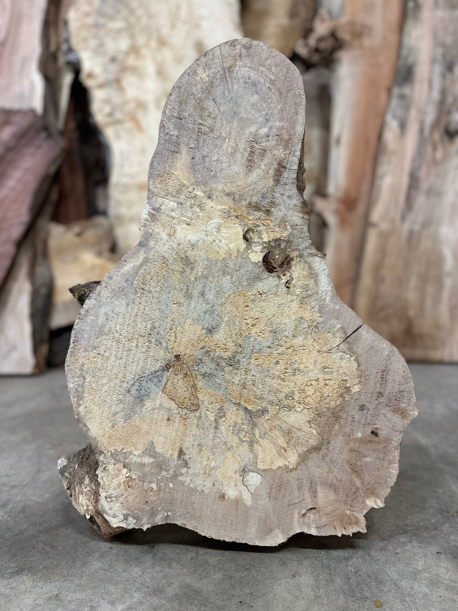 LiveEdge Big Leaf Maple | Big Leaf Maple | Double Diamond