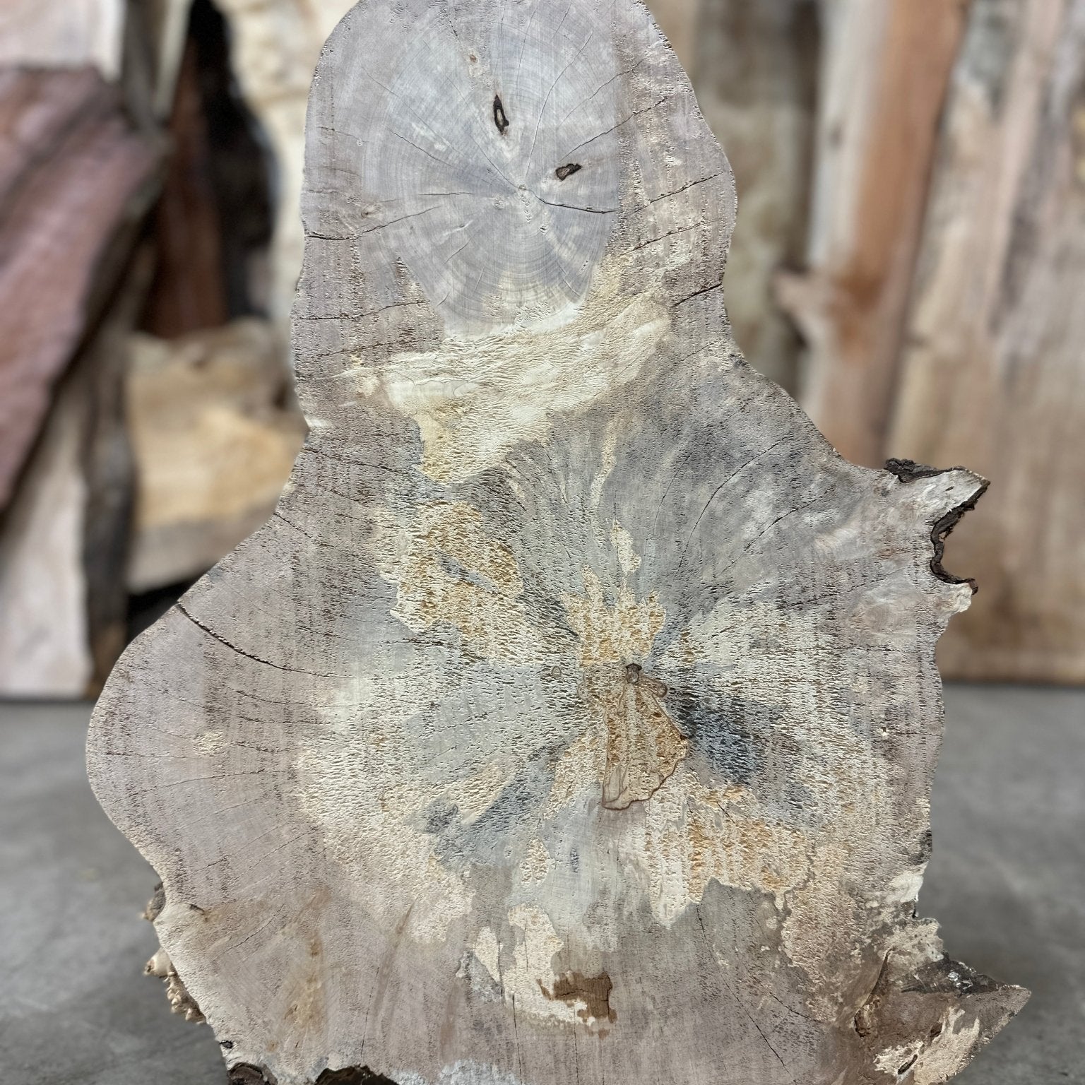 LiveEdge Big Leaf Maple | Big Leaf Maple | Double Diamond