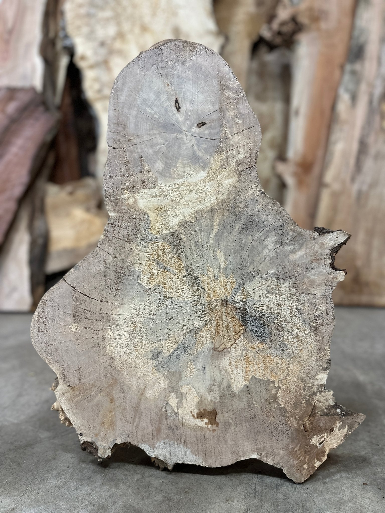 LiveEdge Big Leaf Maple | Big Leaf Maple | Double Diamond