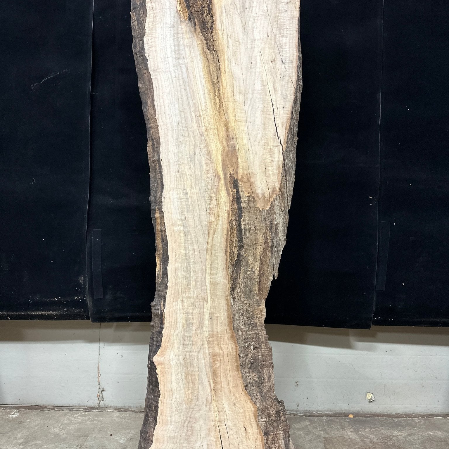 LiveEdge Big Leaf Maple | Big Leaf Maple | Double Diamond | BGDDBLMCS.867