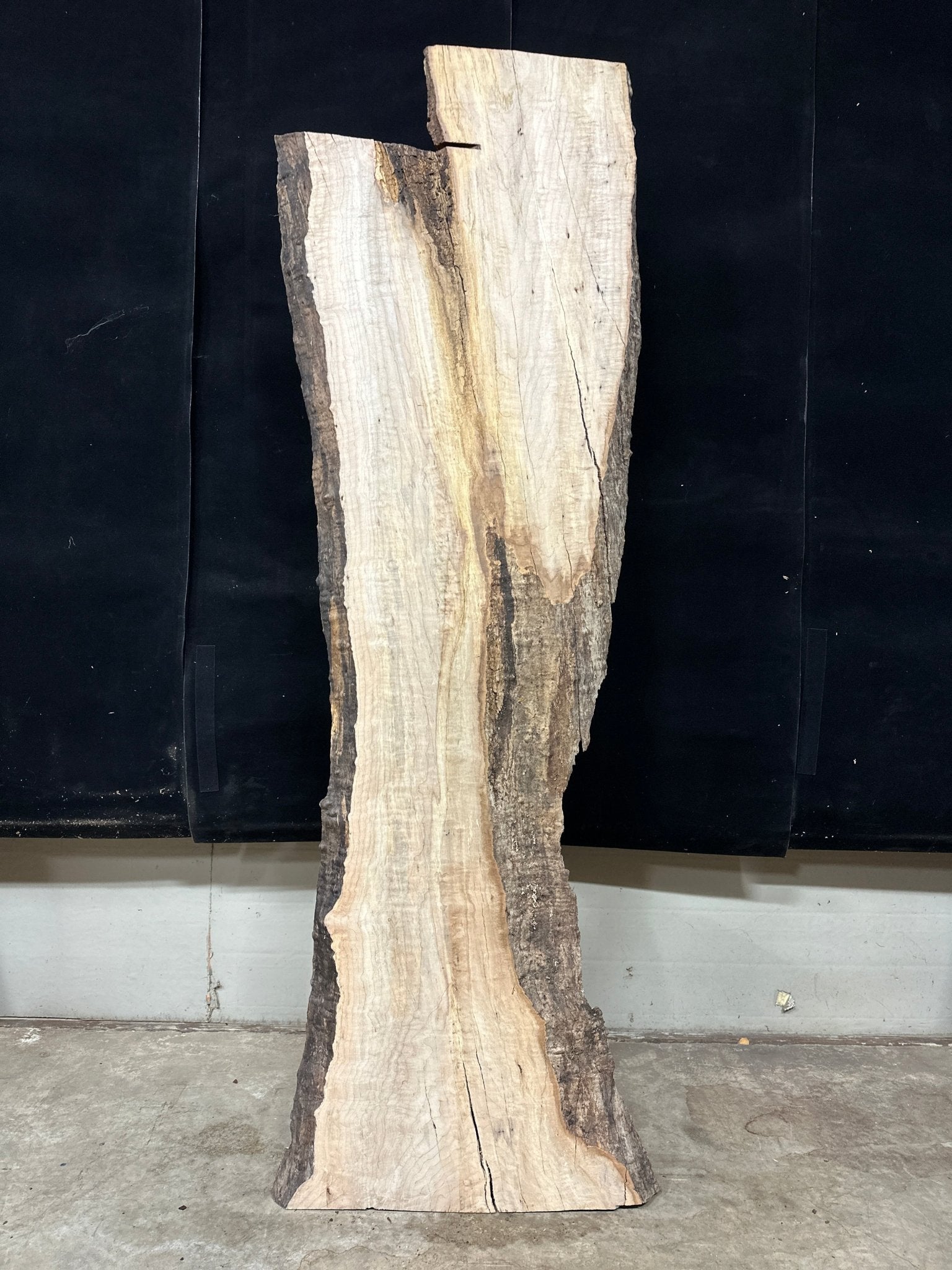 LiveEdge Big Leaf Maple | Big Leaf Maple | Double Diamond | BGDDBLMCS.867
