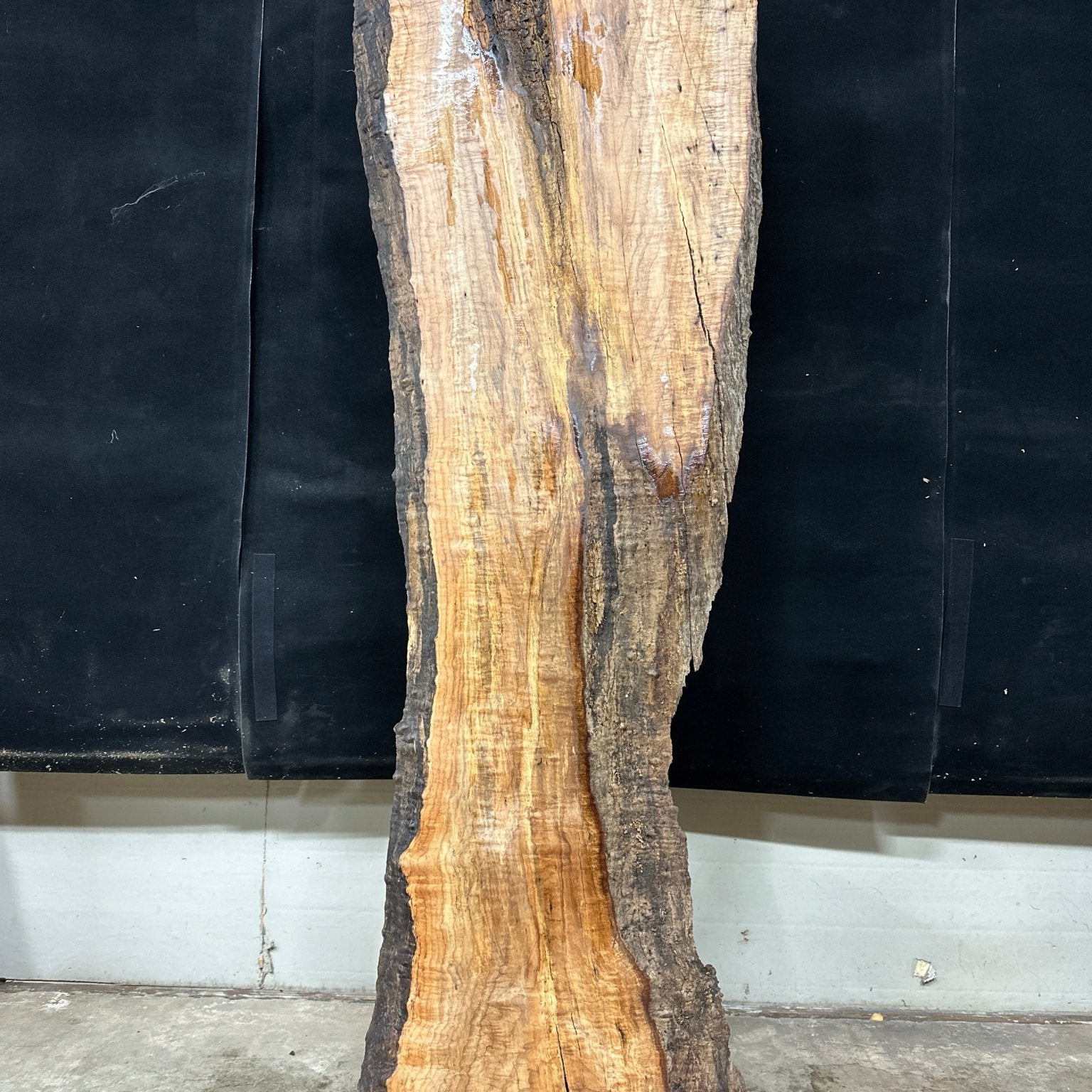 LiveEdge Big Leaf Maple | Big Leaf Maple | Double Diamond | BGDDBLMCS.867