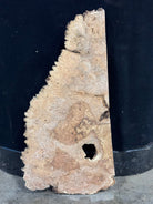 LiveEdge Big Leaf Maple | Big Leaf Maple | Double Diamond | BGDDBLMCS.898