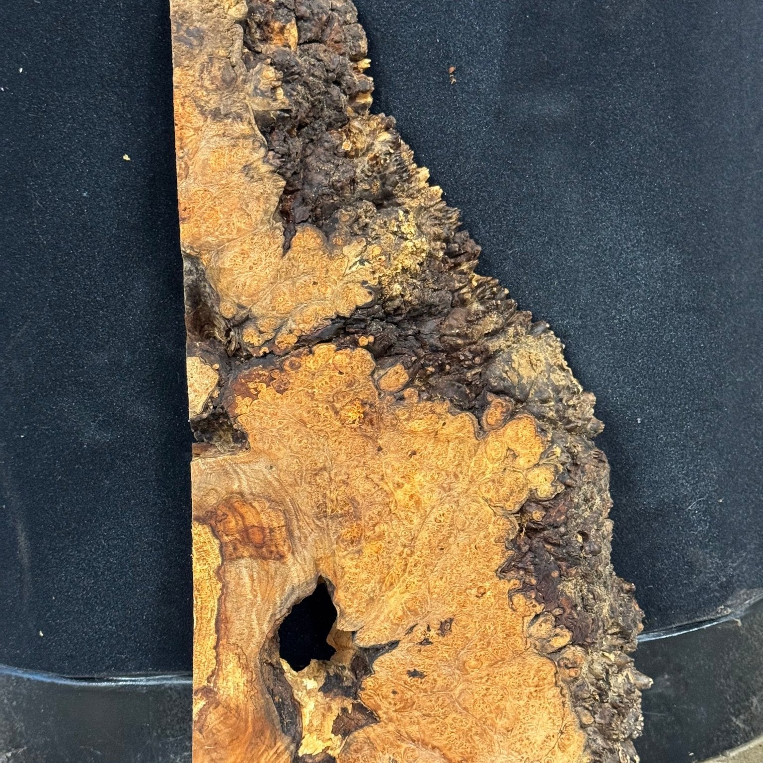 LiveEdge Big Leaf Maple | Big Leaf Maple | Double Diamond | BGDDBLMCS.898