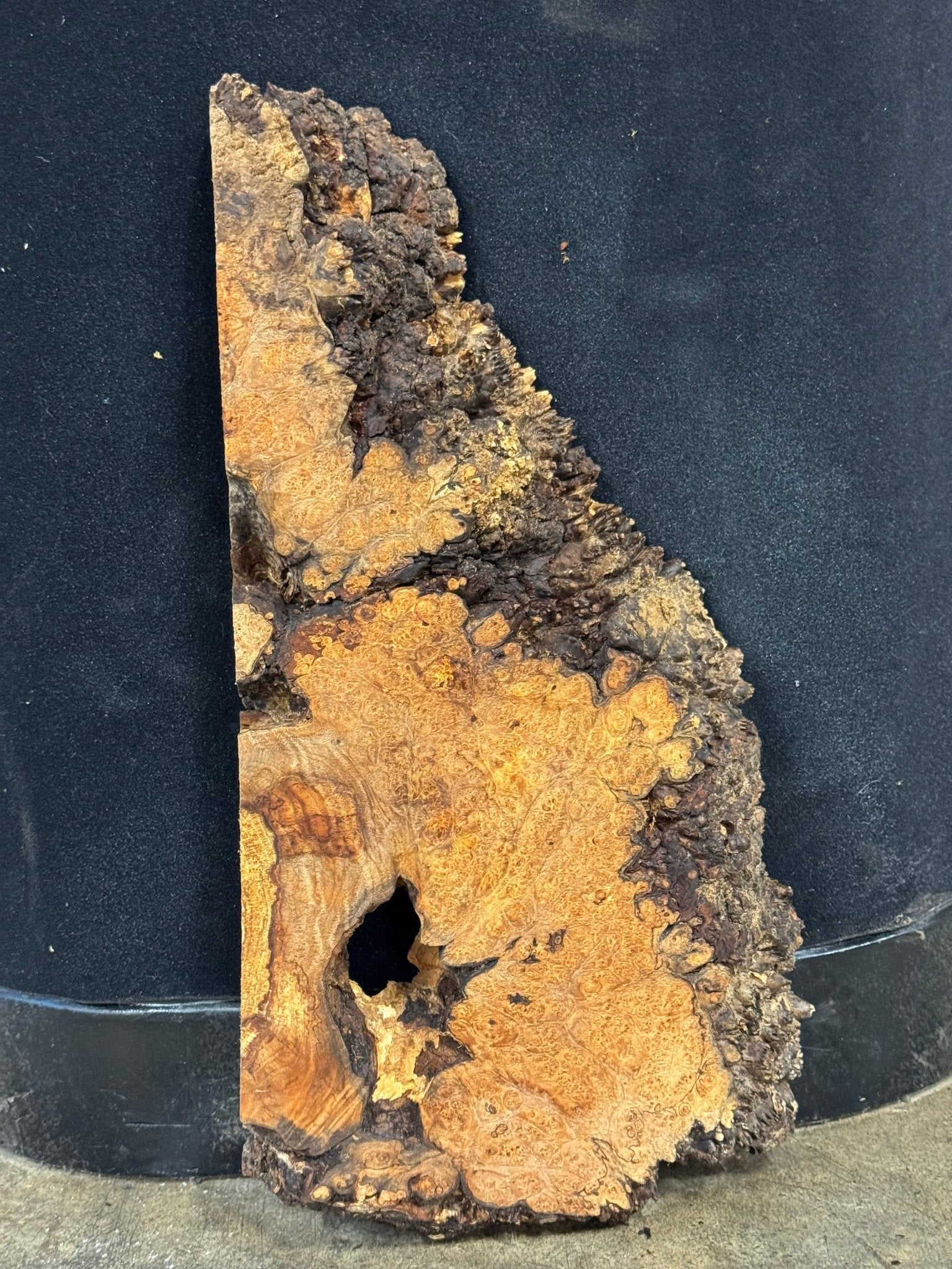 LiveEdge Big Leaf Maple | Big Leaf Maple | Double Diamond | BGDDBLMCS.898