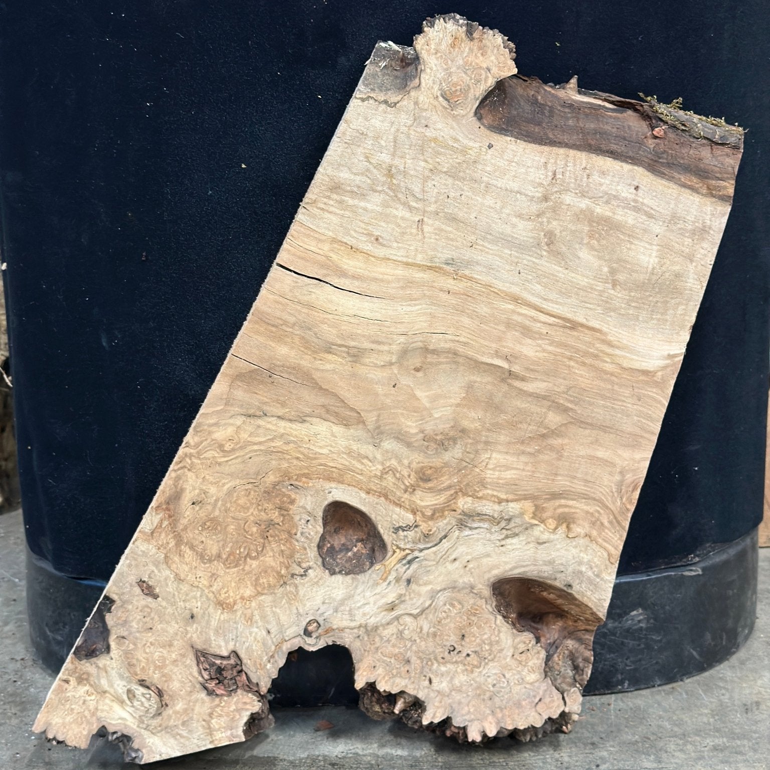 LiveEdge Big Leaf Maple | Big Leaf Maple | Double Diamond | BGDDBLMCS.911