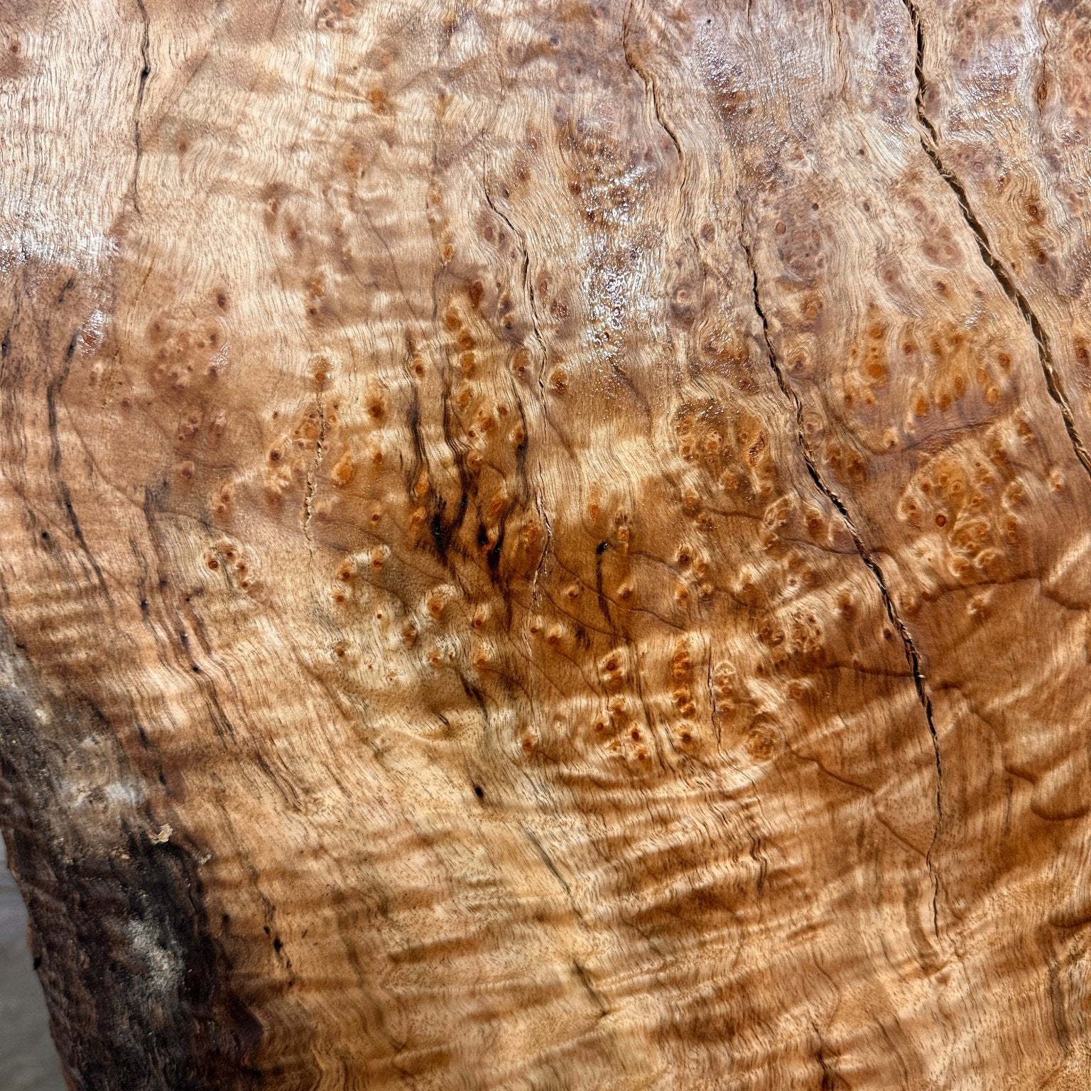 LiveEdge Big Leaf Maple | Black Locust | Double Diamond