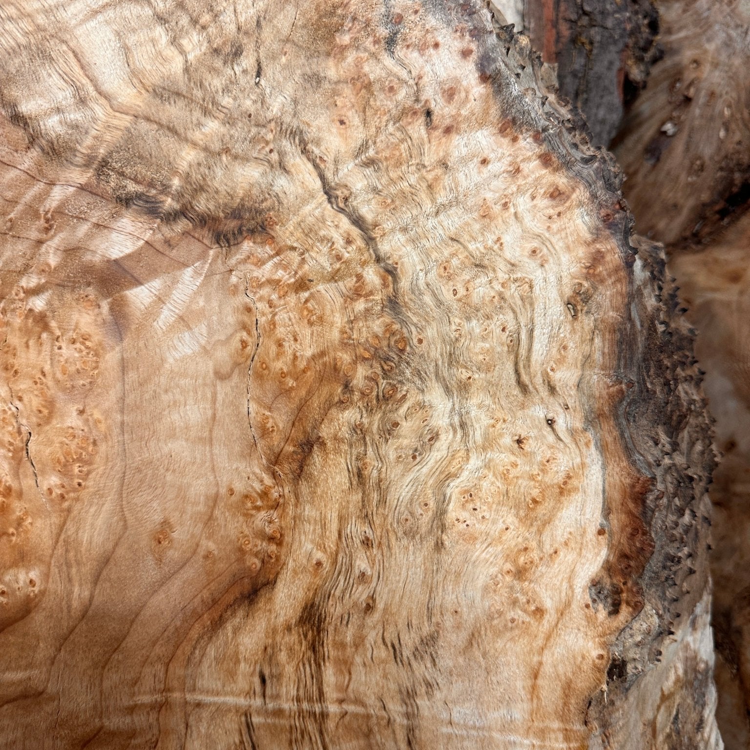 LiveEdge Big Leaf Maple | Black Locust | Double Diamond