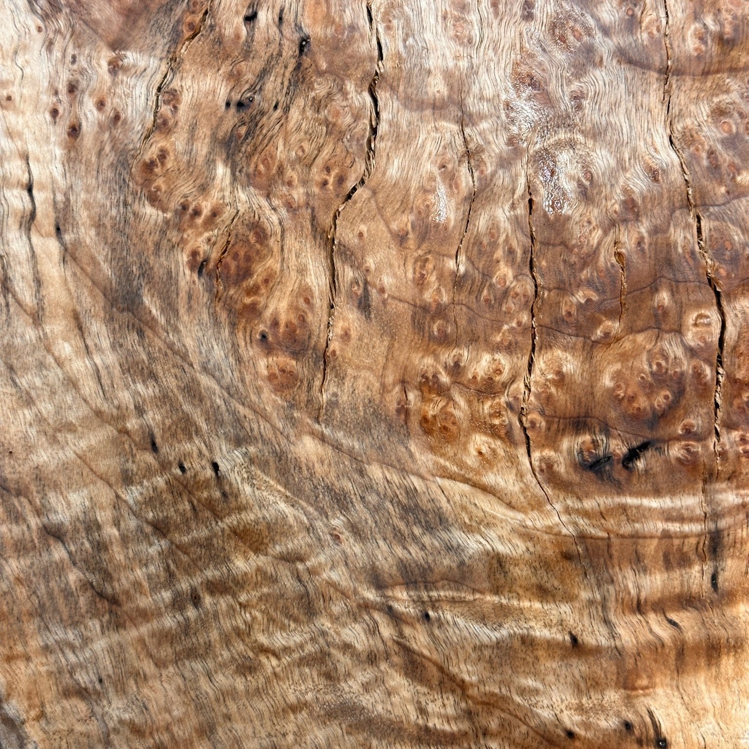 LiveEdge Big Leaf Maple | Black Locust | Double Diamond
