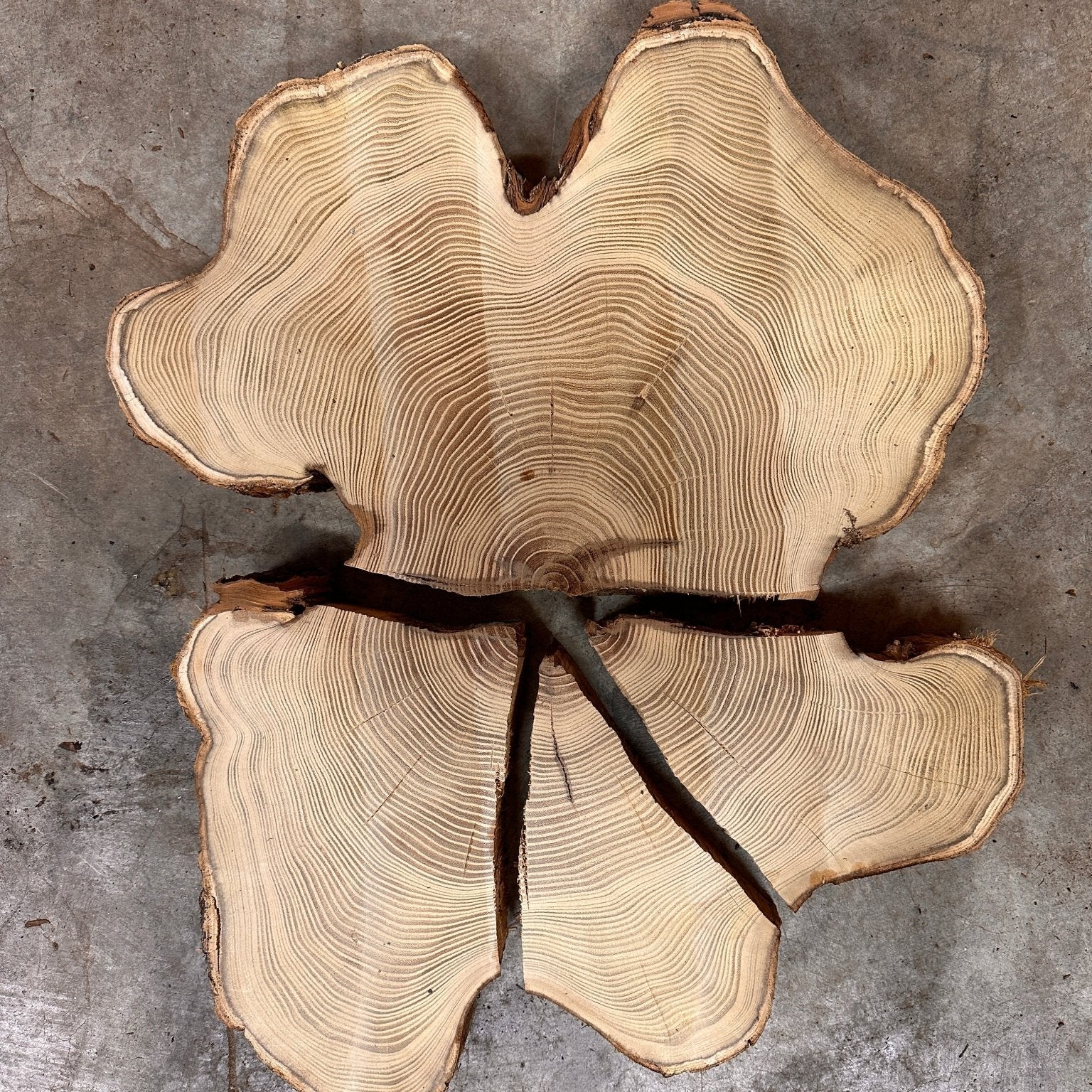 LiveEdge Black Locust | Black Locust | Double Diamond