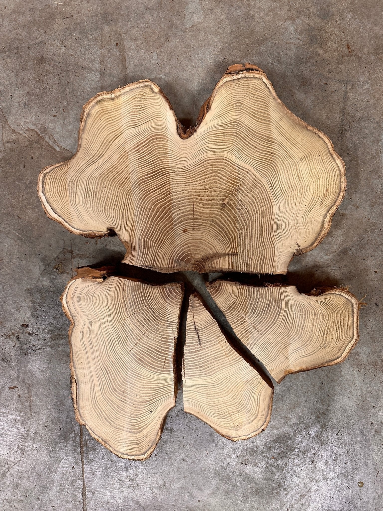 LiveEdge Black Locust | Black Locust | Double Diamond