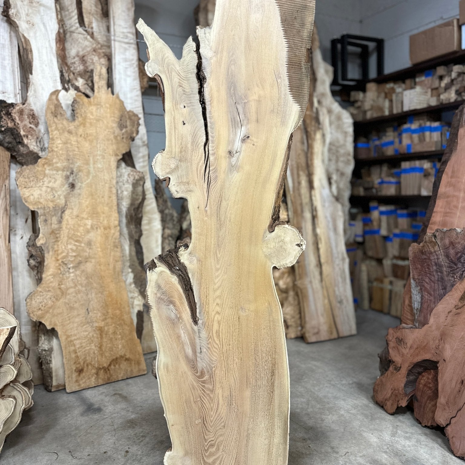 LiveEdge Black Locust | Black Locust | Double Diamond