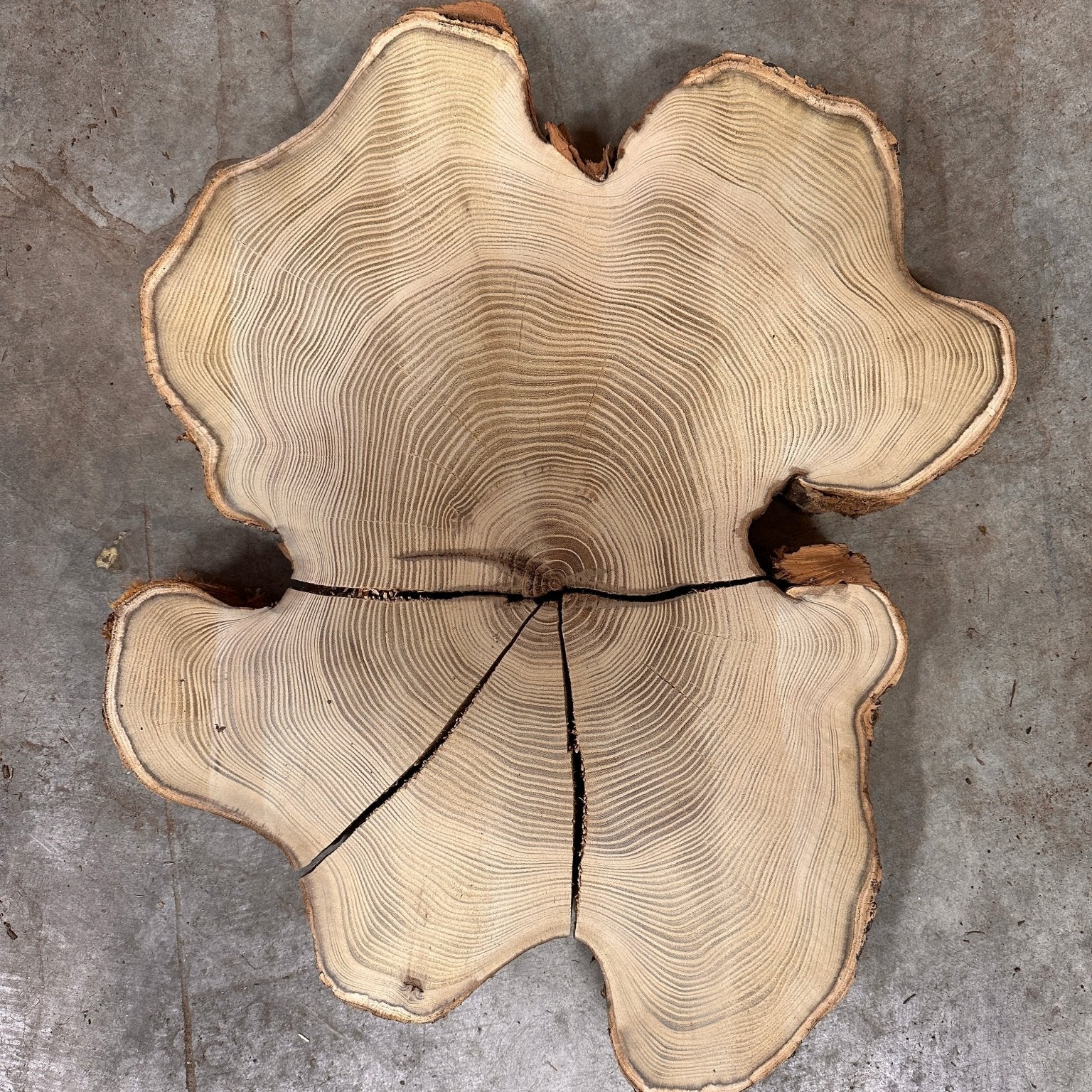 LiveEdge Black Locust | Black Locust | Double Diamond