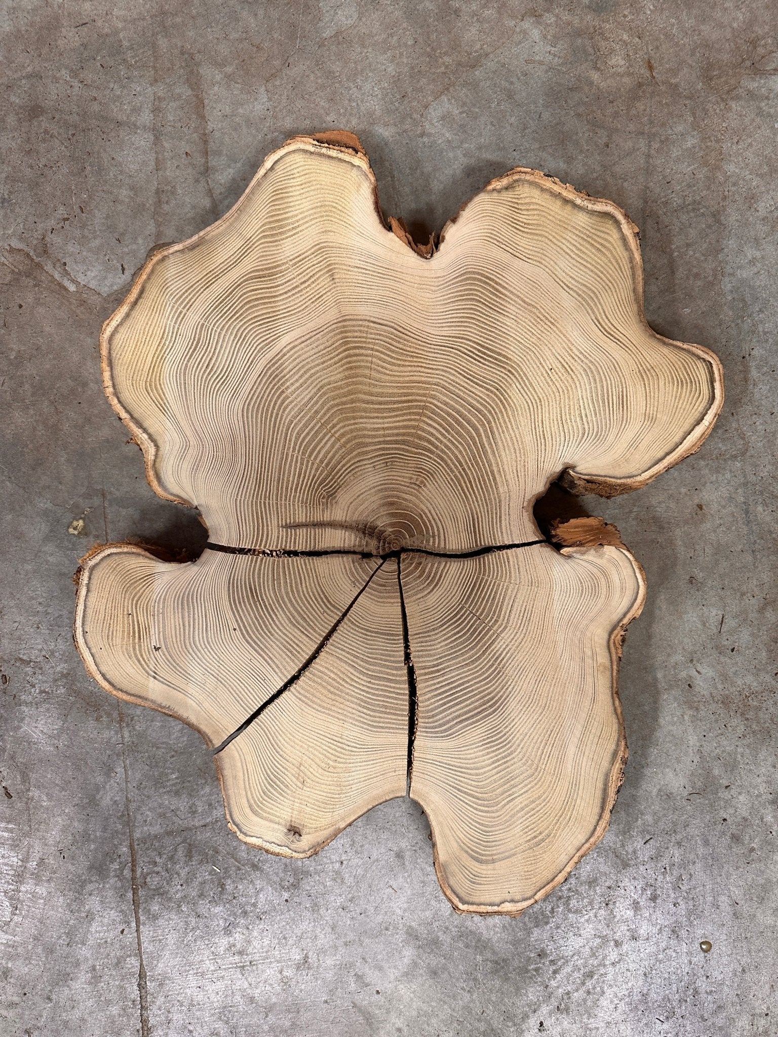 LiveEdge Black Locust | Black Locust | Double Diamond