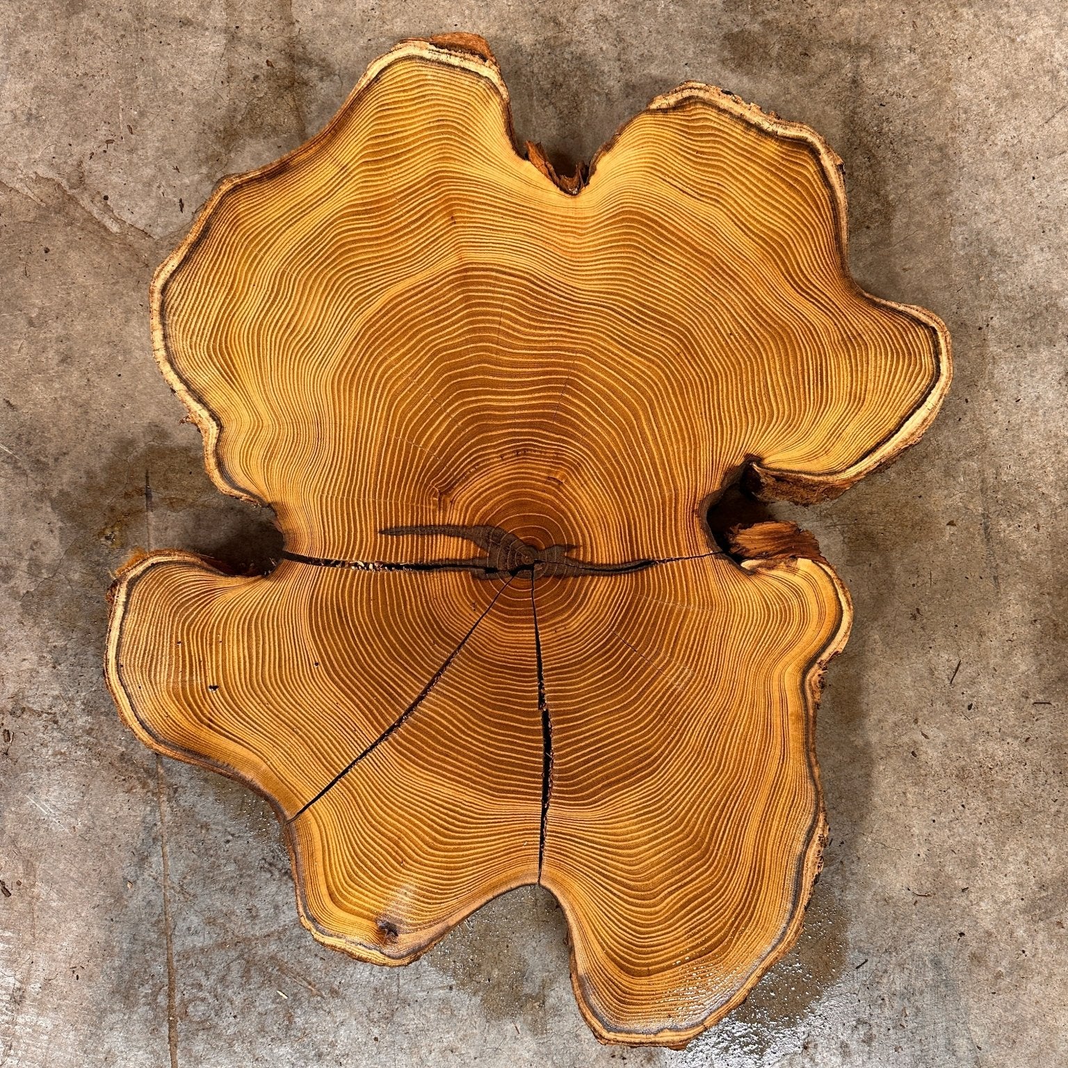 LiveEdge Black Locust | Black Locust | Double Diamond