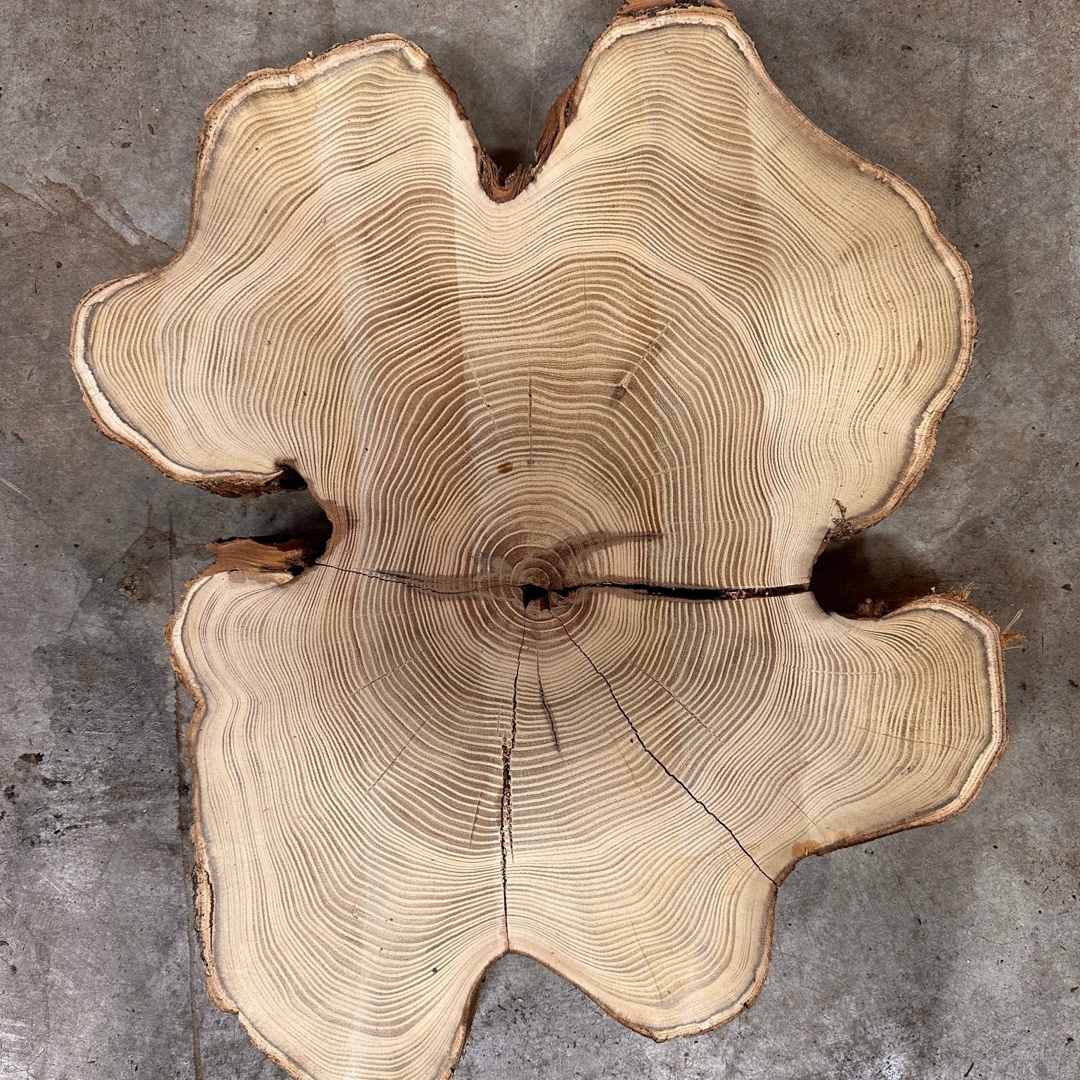 LiveEdge Black Locust | Black Locust | Double Diamond