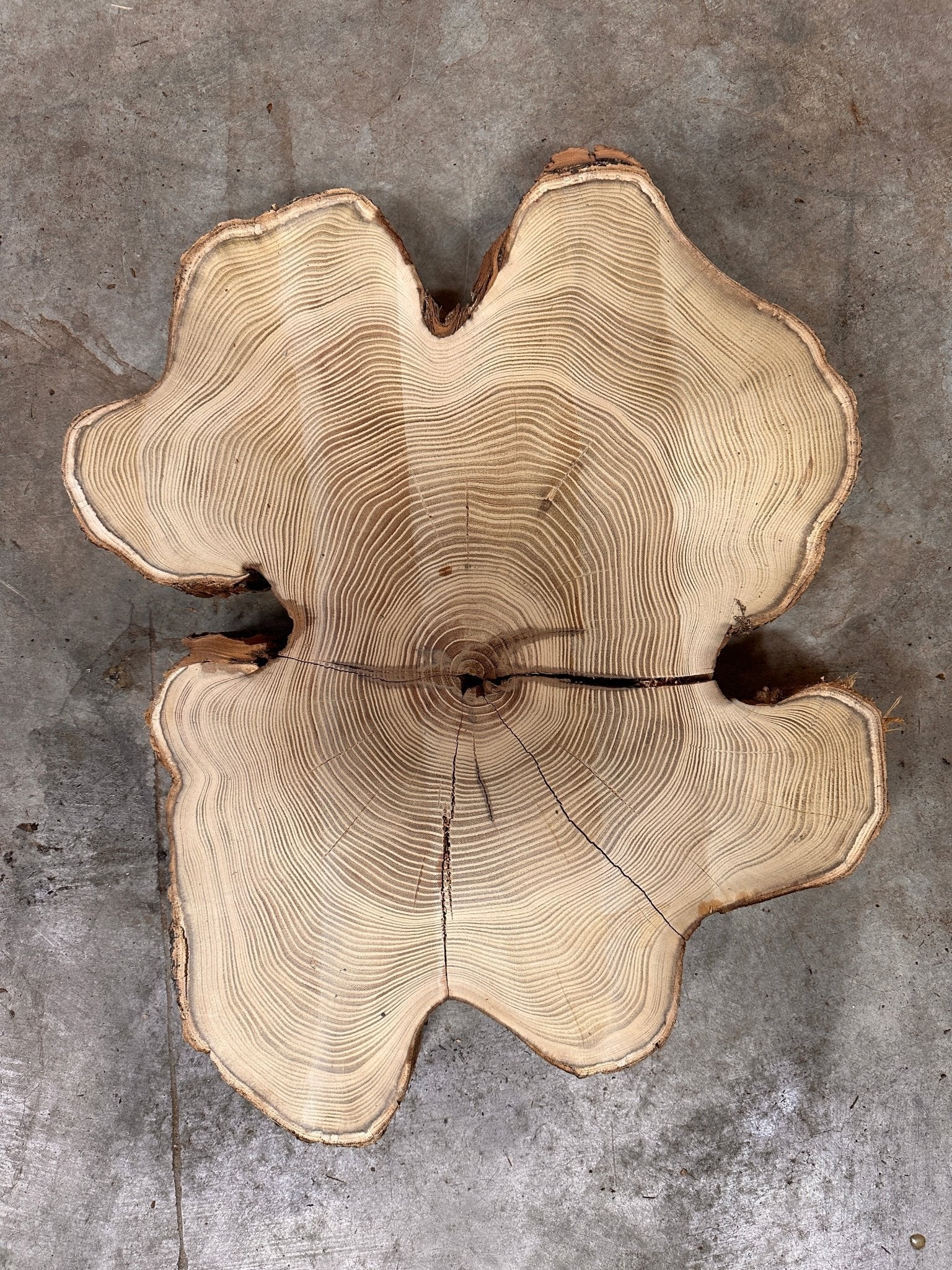 LiveEdge Black Locust | Black Locust | Double Diamond