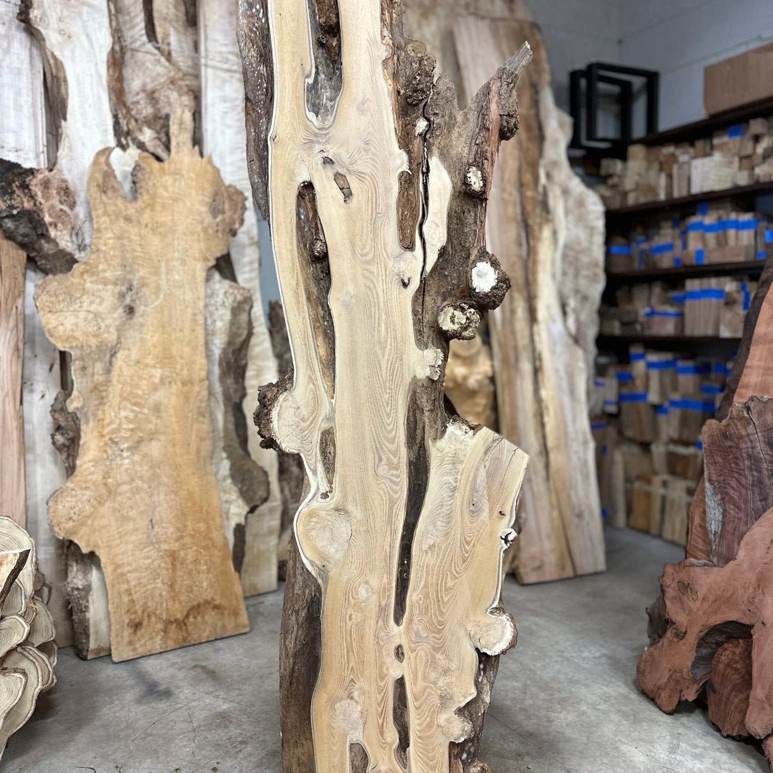 LiveEdge Black Locust | Black Locust | Double Diamond