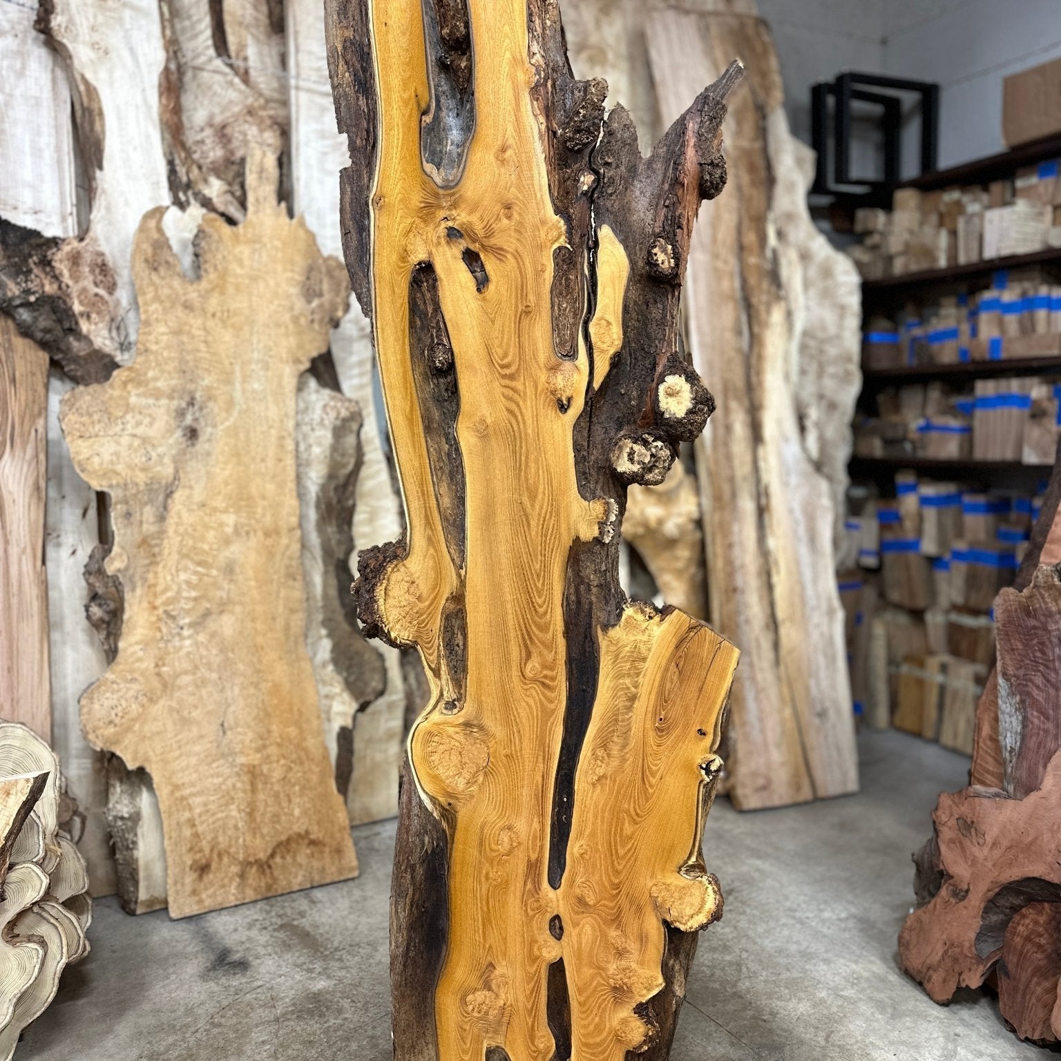 LiveEdge Black Locust | Black Locust | Double Diamond