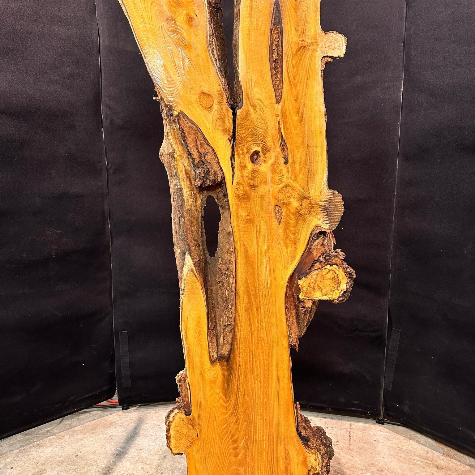 LiveEdge Black Locust | Black Locust | Double Diamond