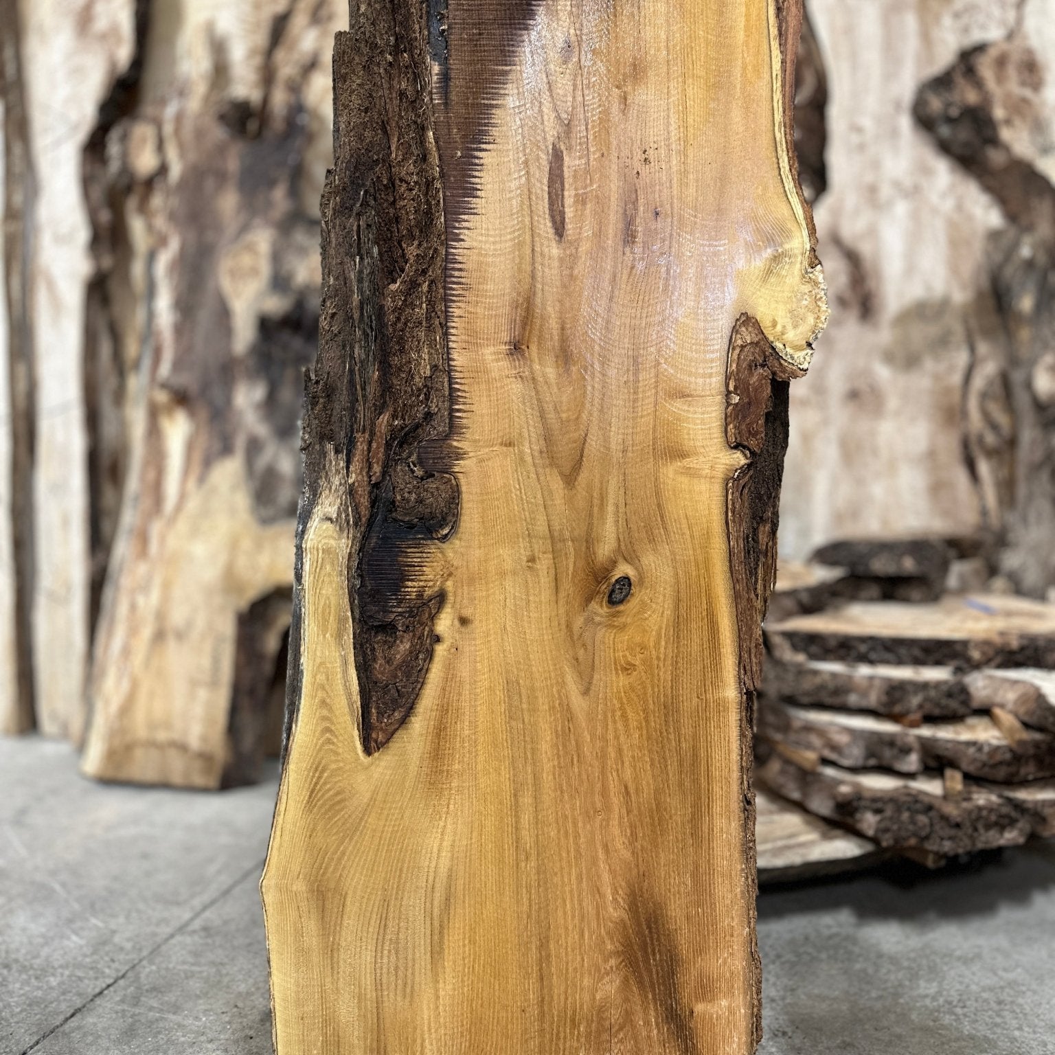 LiveEdge Black Locust | Black Locust | Double Diamond