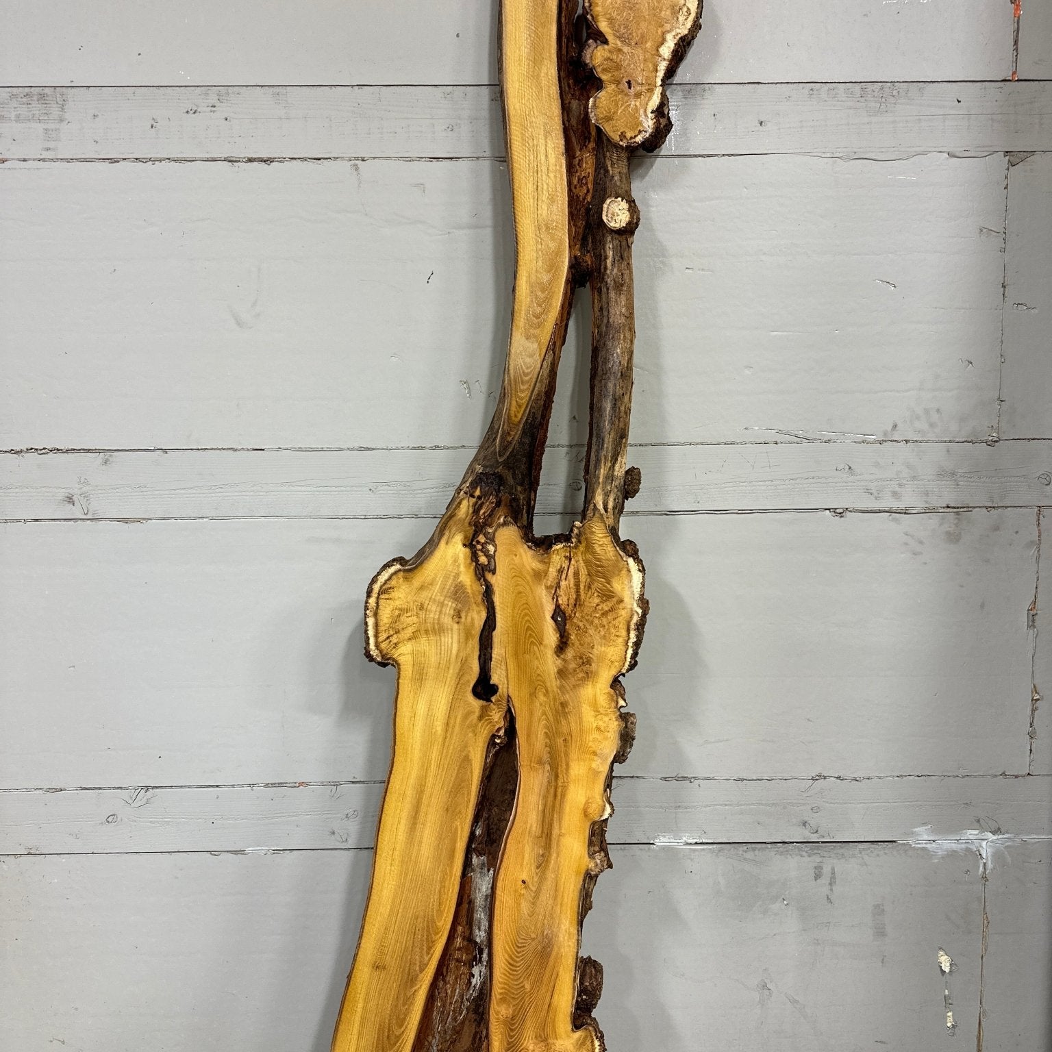 LiveEdge Black Locust | Black Locust | Double Diamond | BGDDBL691