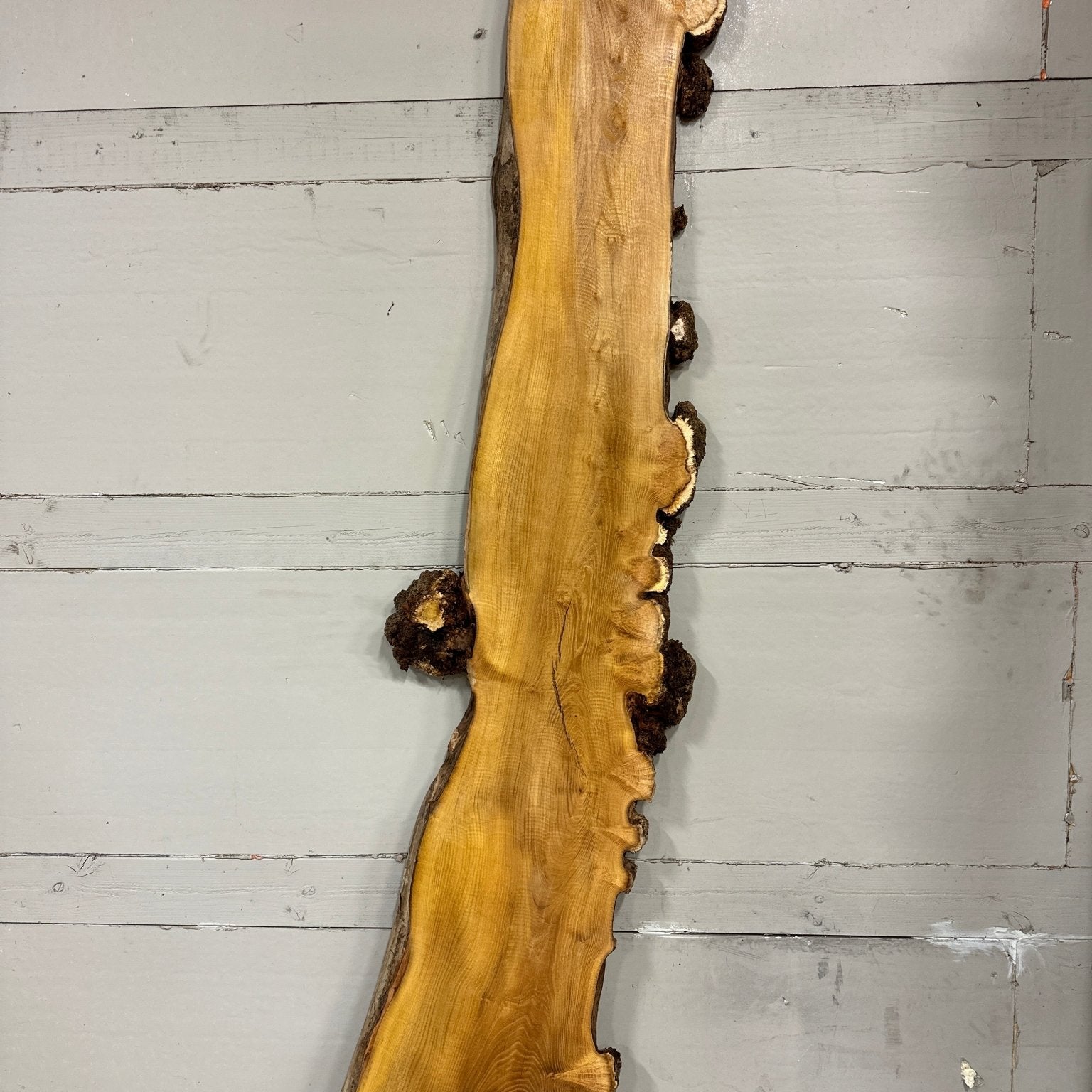 LiveEdge Black Locust | Black Locust | Double Diamond | BGDDBL693