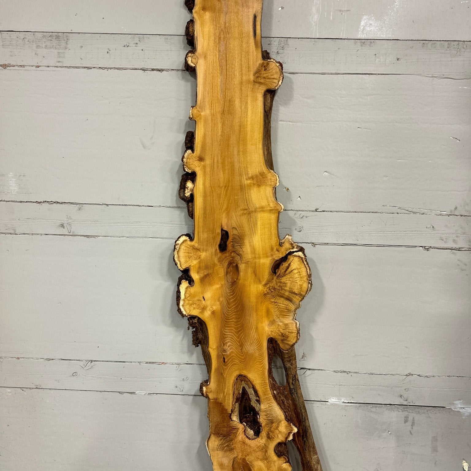 LiveEdge Black Locust | Black Locust | Double Diamond | BGDDBL694