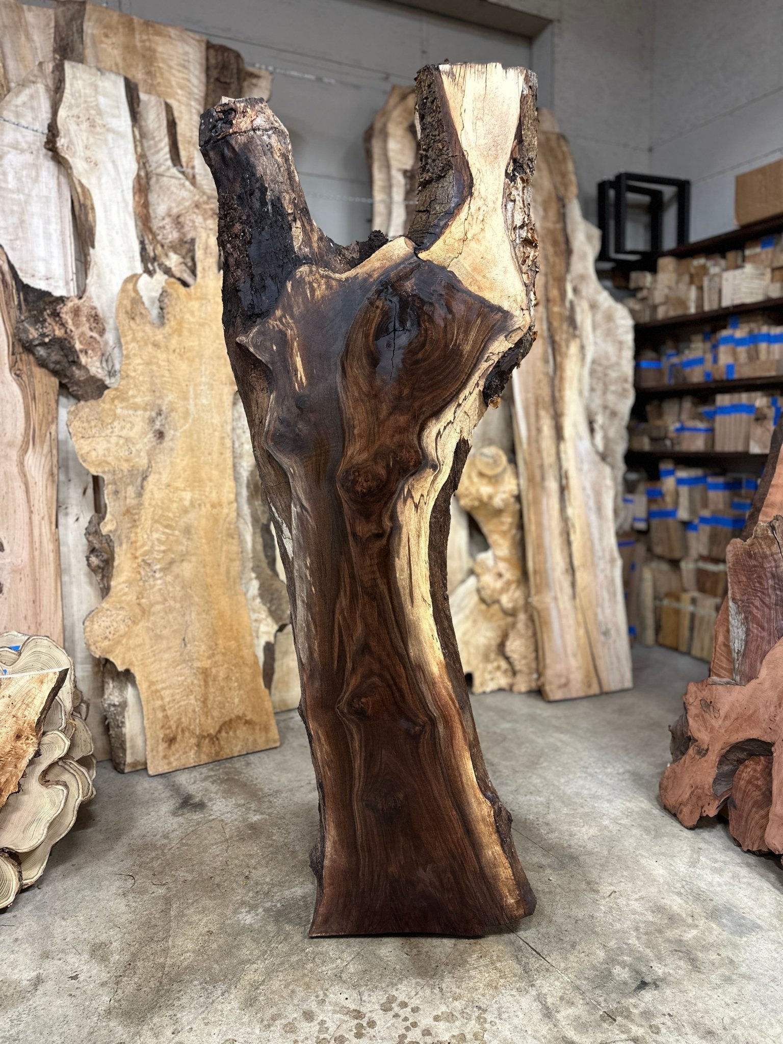 LiveEdge Black Walnut | Black Walnut | Double Diamond