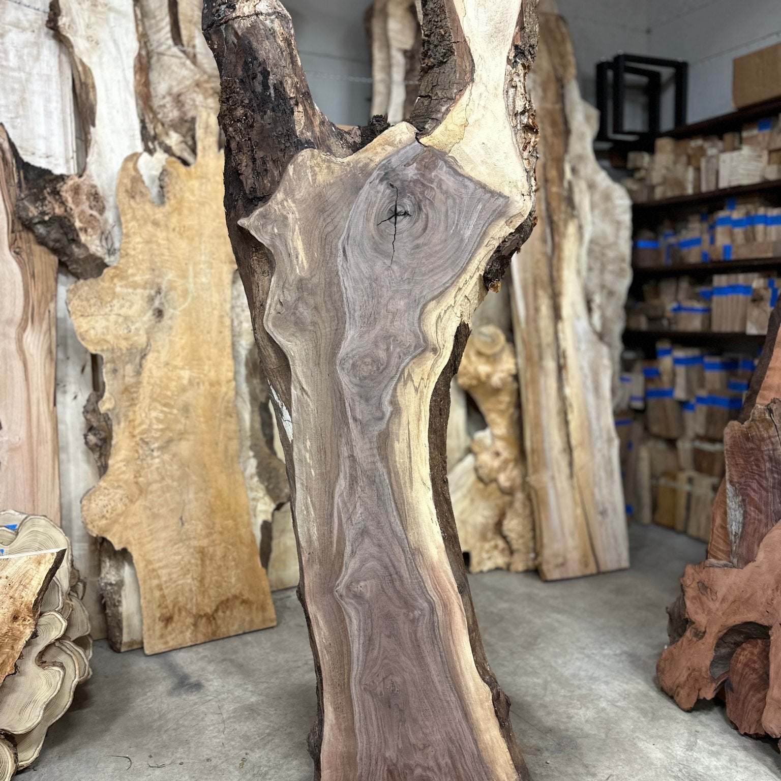LiveEdge Black Walnut | Black Walnut | Double Diamond