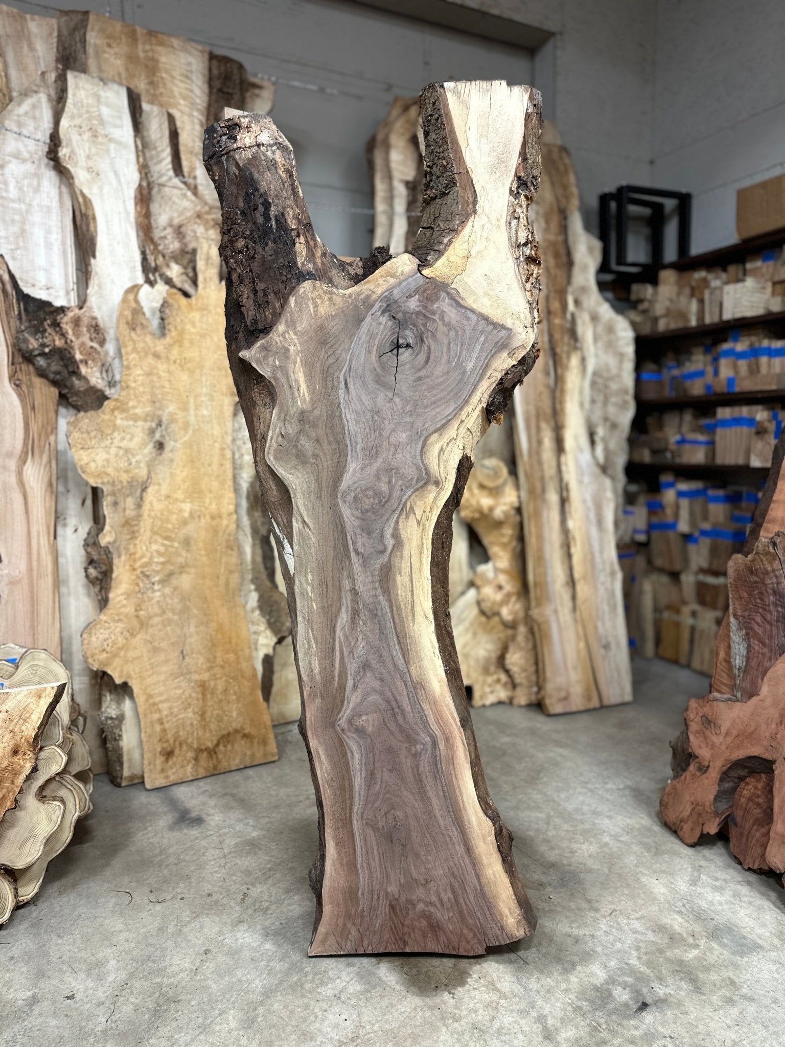 LiveEdge Black Walnut | Black Walnut | Double Diamond