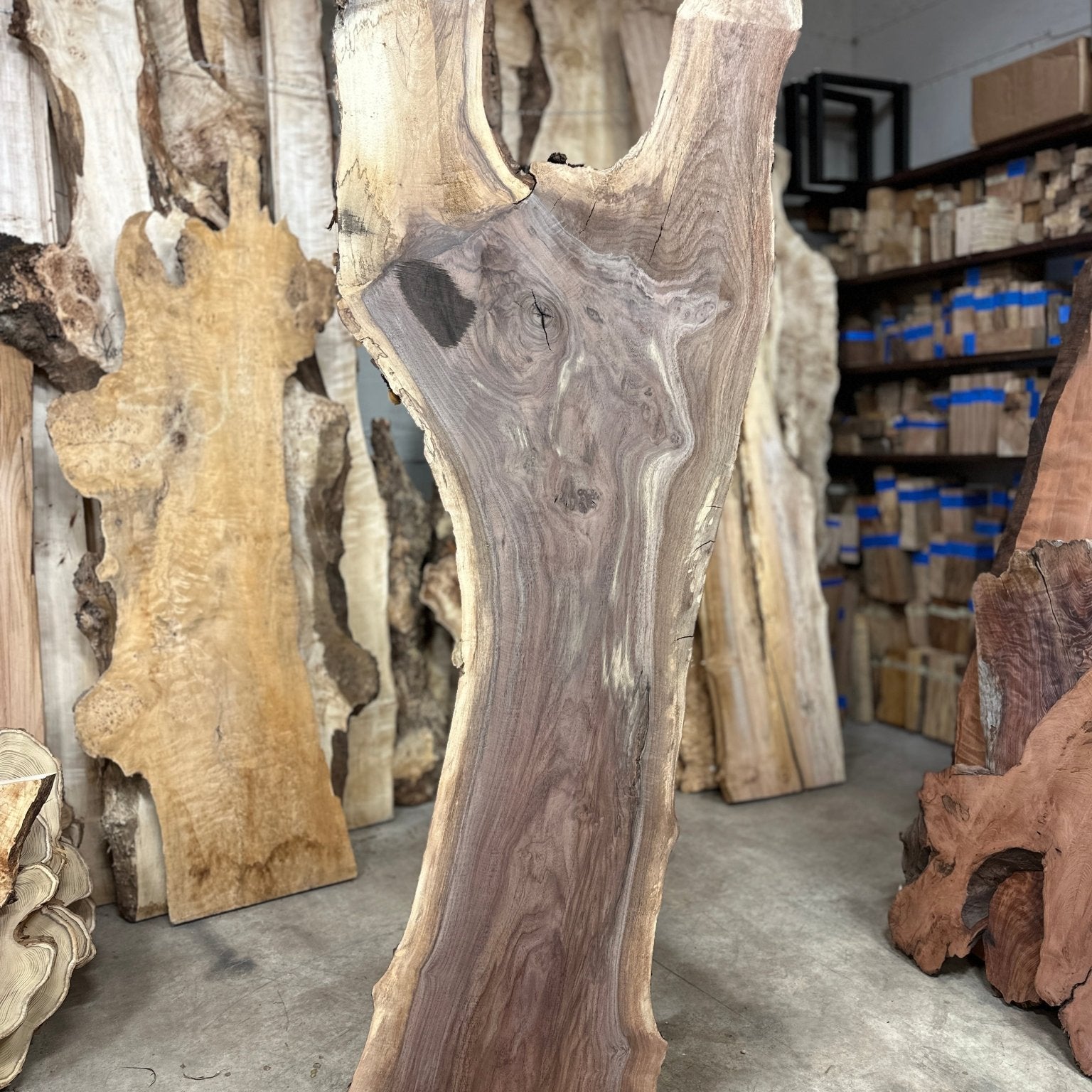 LiveEdge Black Walnut | Black Walnut | Double Diamond