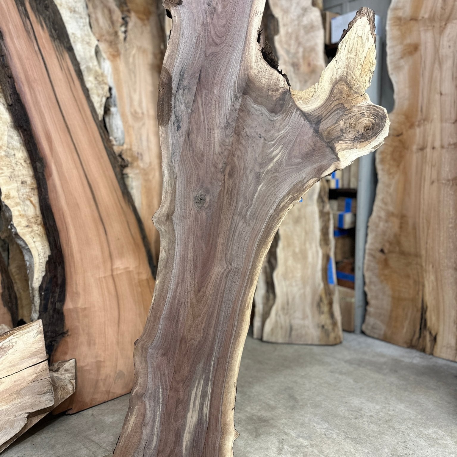 LiveEdge Black Walnut | Black Walnut | Double Diamond